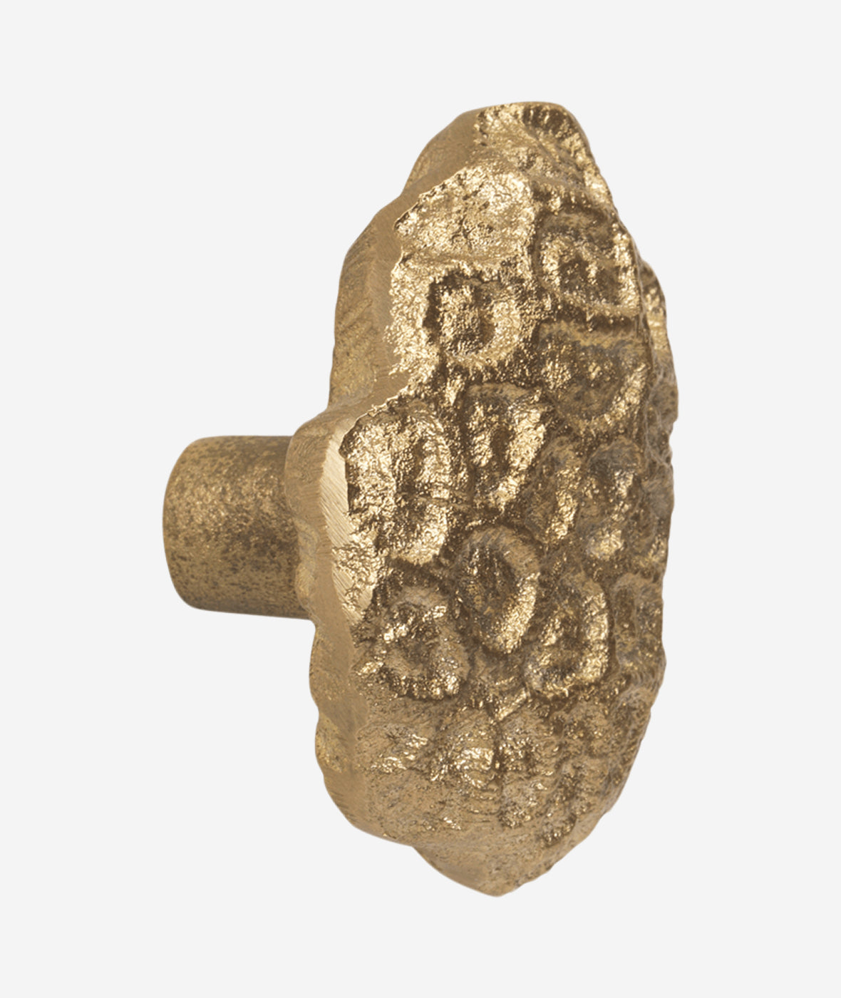 Comber Coral Hook - More Options - BEAM