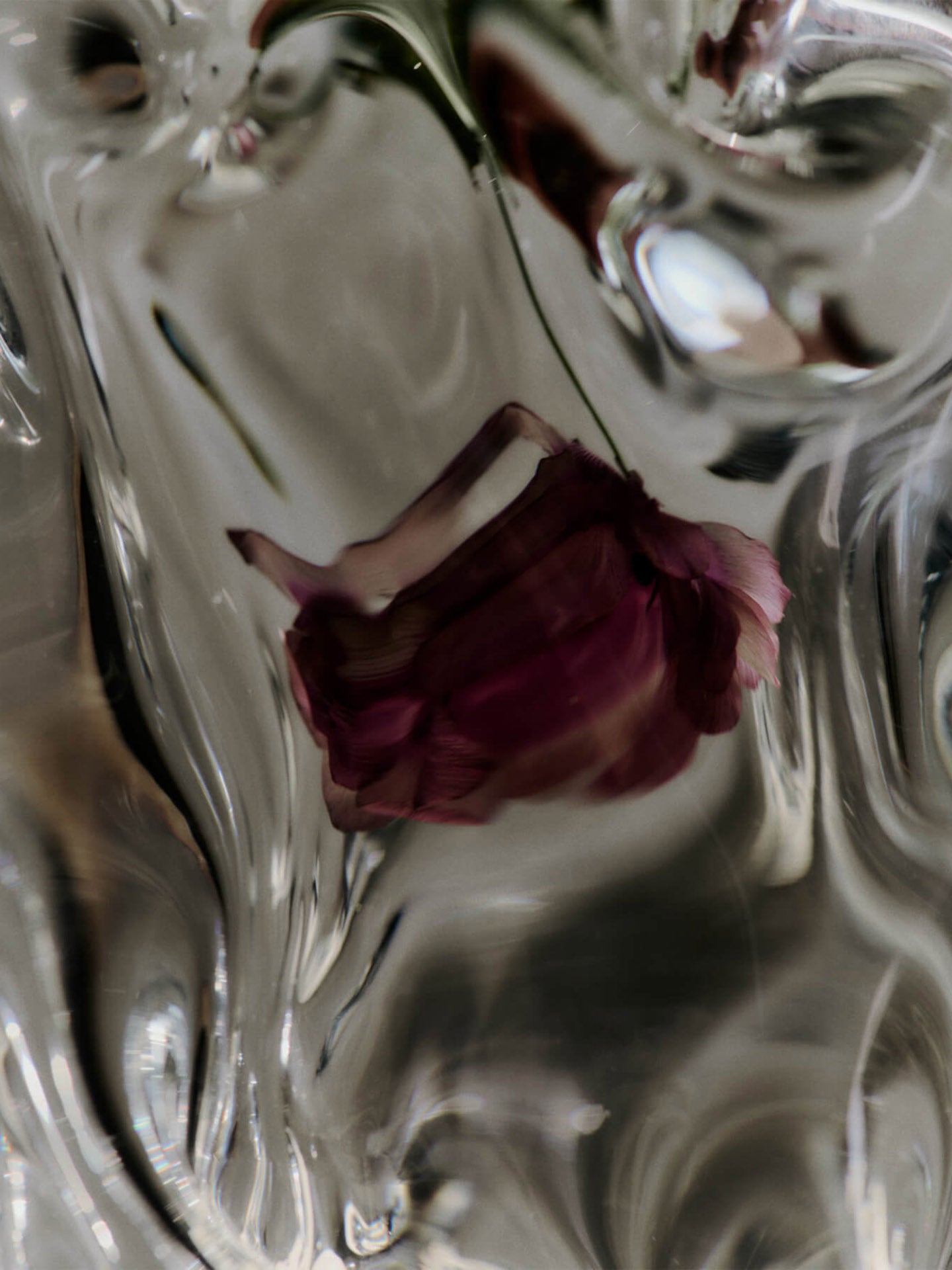 Virelle Vase - More Options