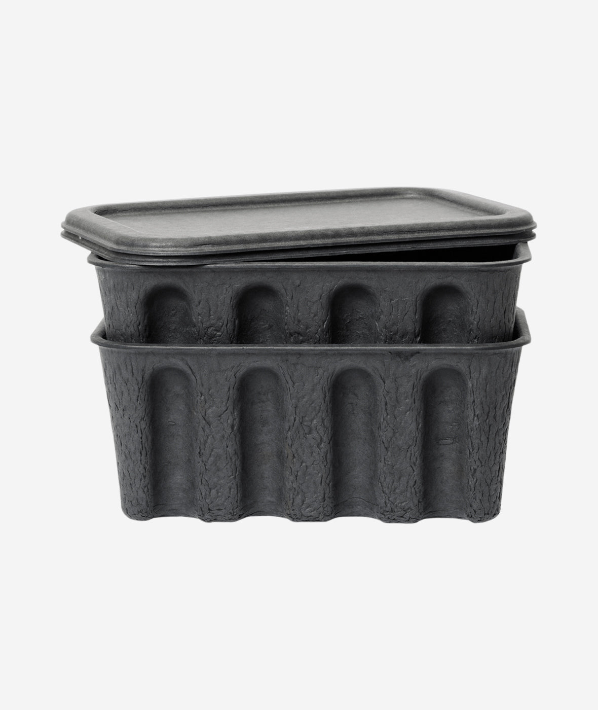 Paper Pulp Box - More Options