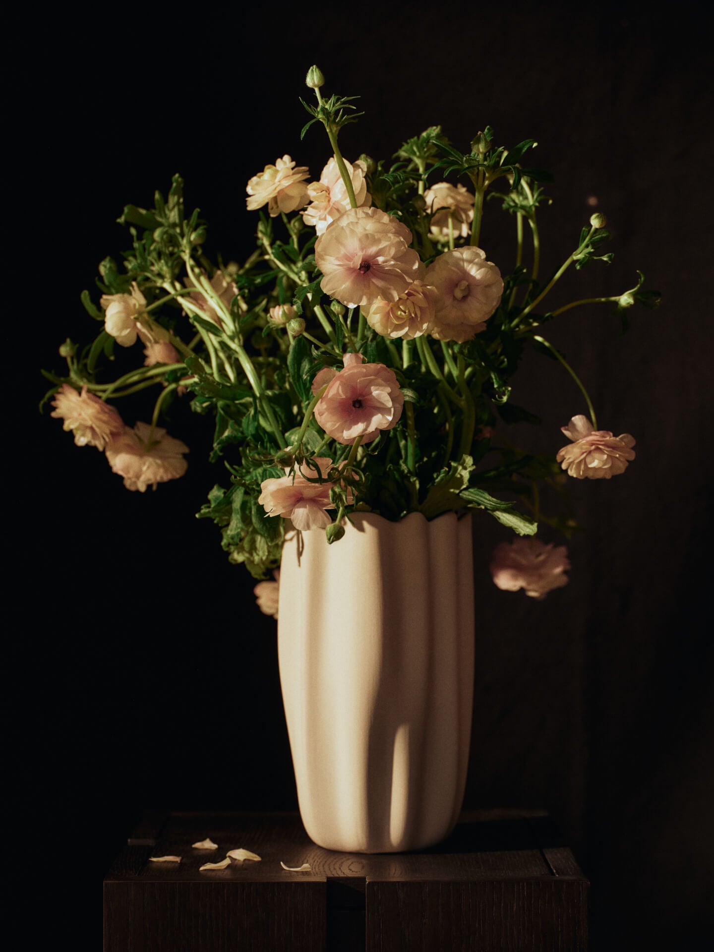 Nium Vase - More Options