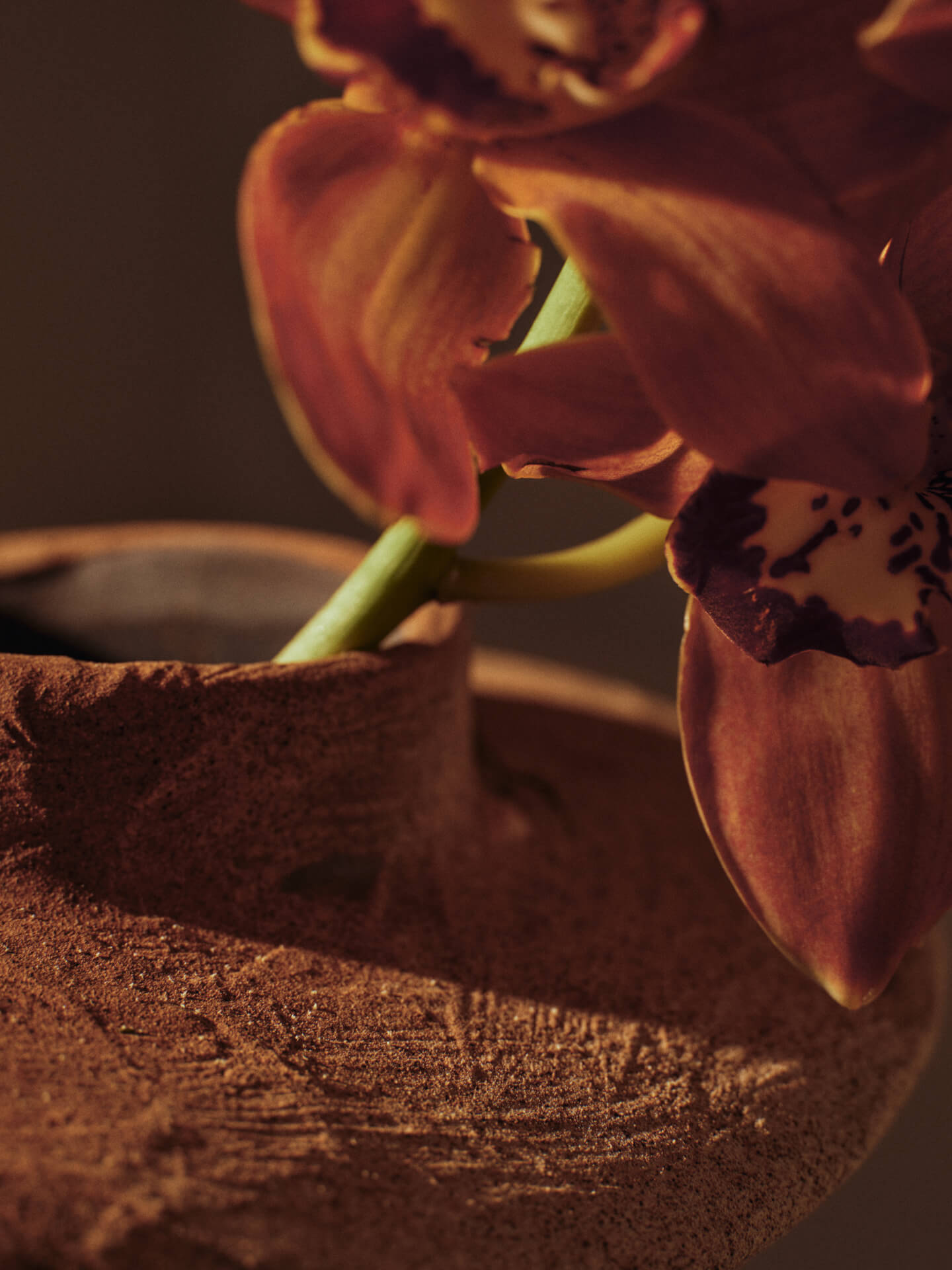 Evio Vase - More Options - BEAM