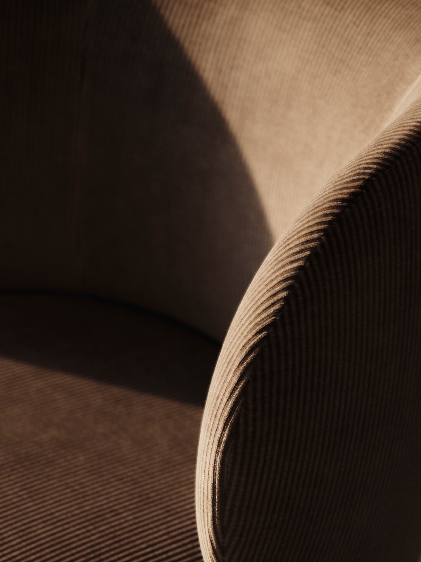 Rico Dining Swivel Chair - More Options