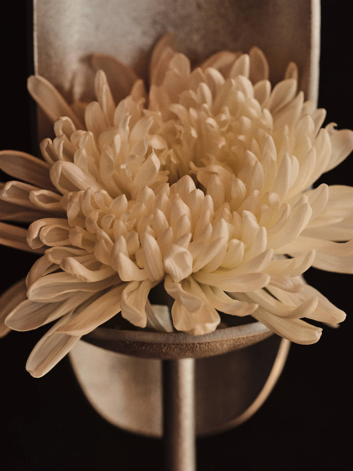 Agapé Floor Candle Holder - More Options