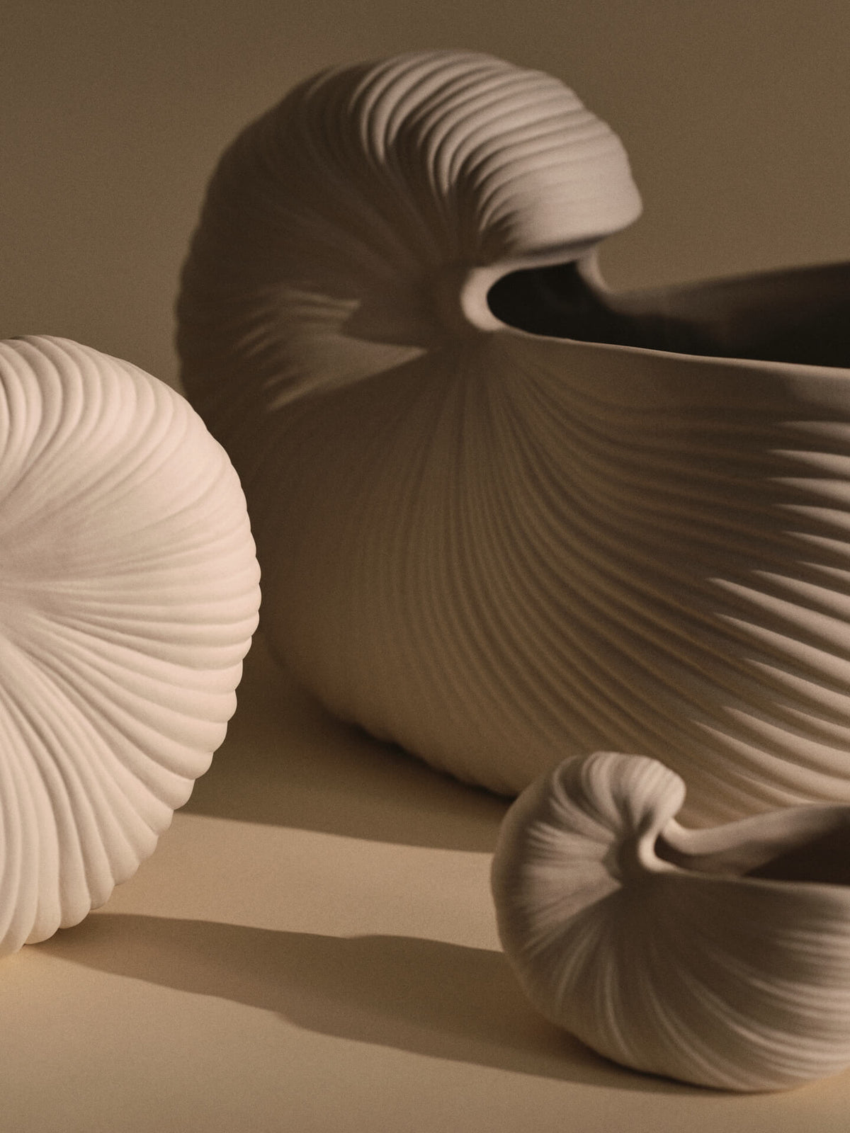 Shell Pot - More Options