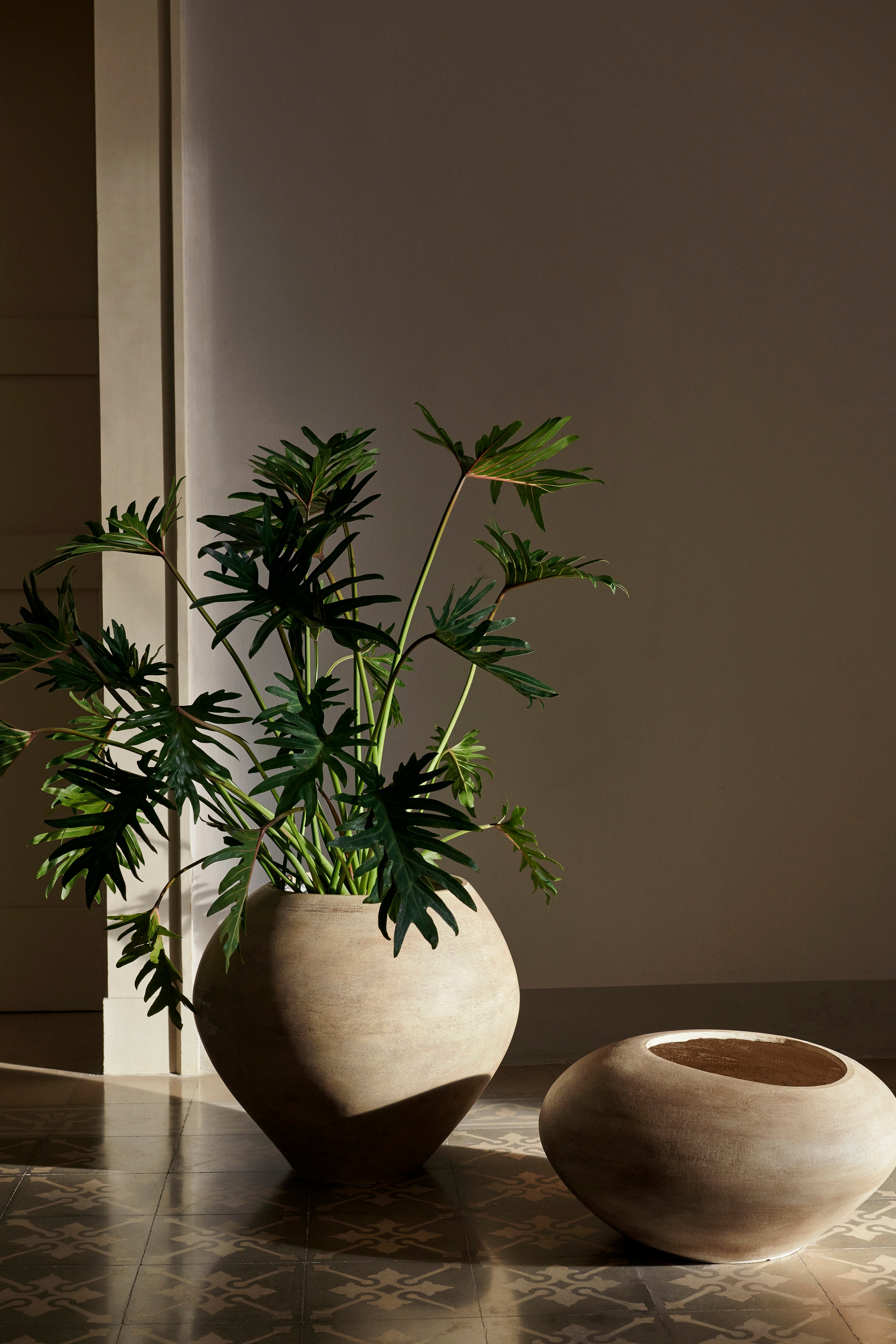 Dodu Pot - More Options