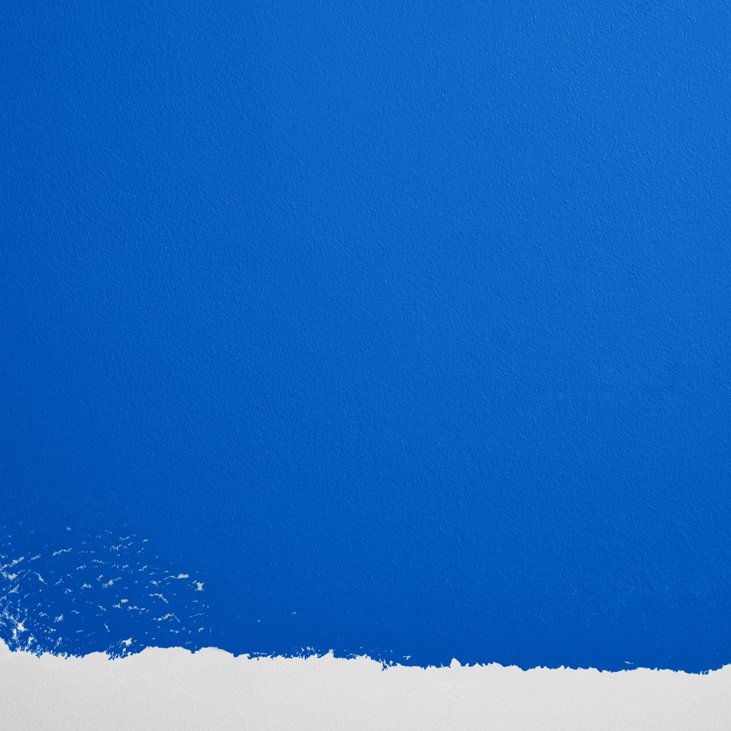 Backdrop Paint - Blue Is The Coolest Color