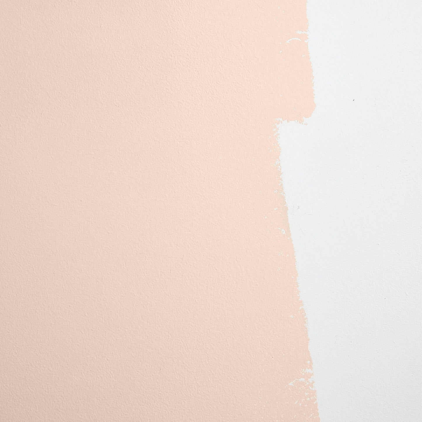 Backdrop Paint - Modern Love