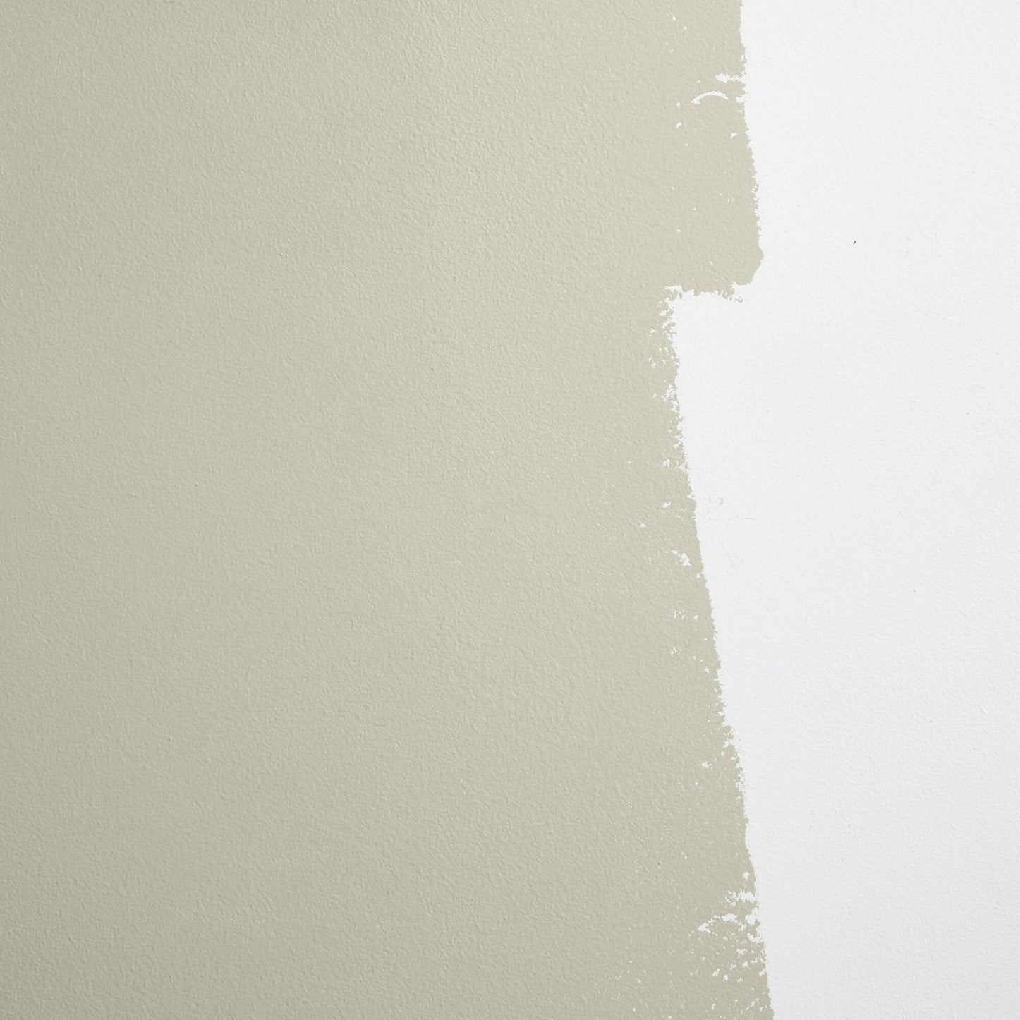 Backdrop Paint - Mojave Gathering