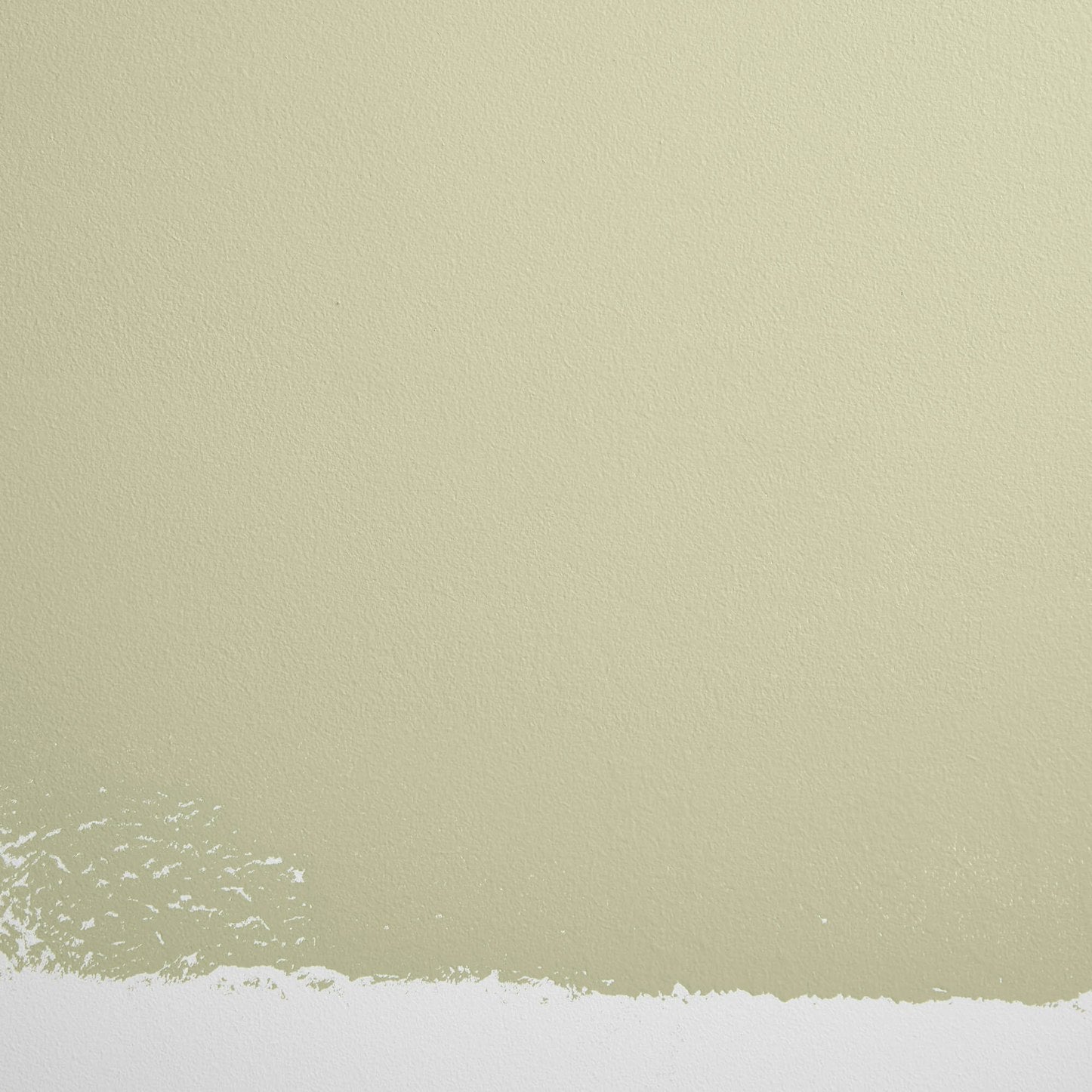 Backdrop Paint - Natural Habitat