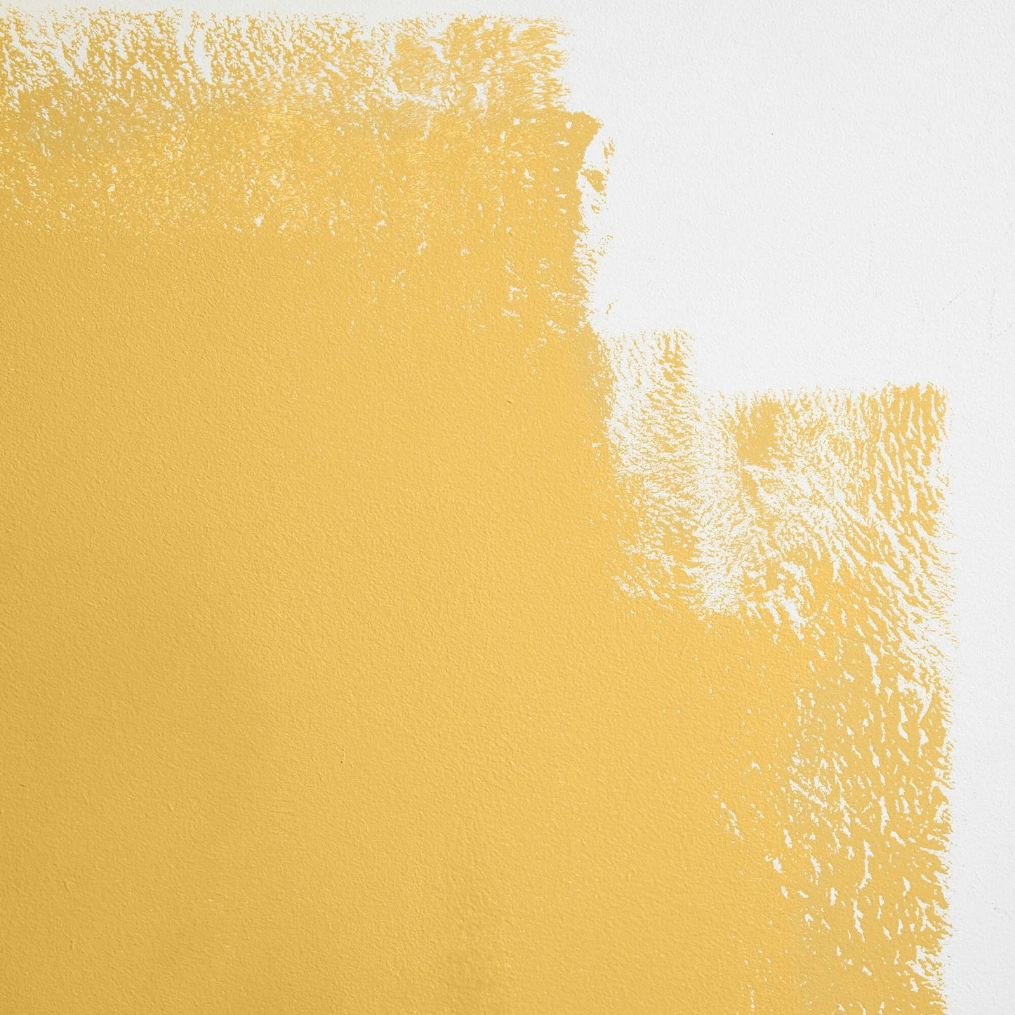 Backdrop Paint - Pablo Honey