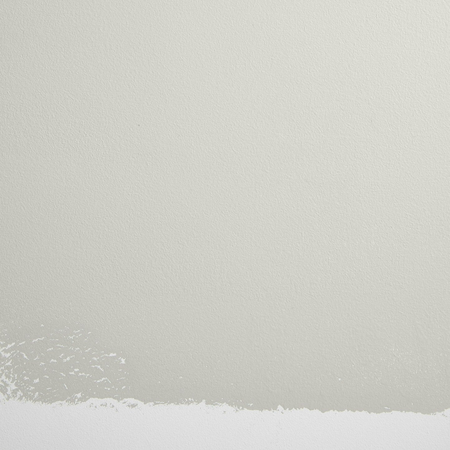 Backdrop Paint - Ritual Unions