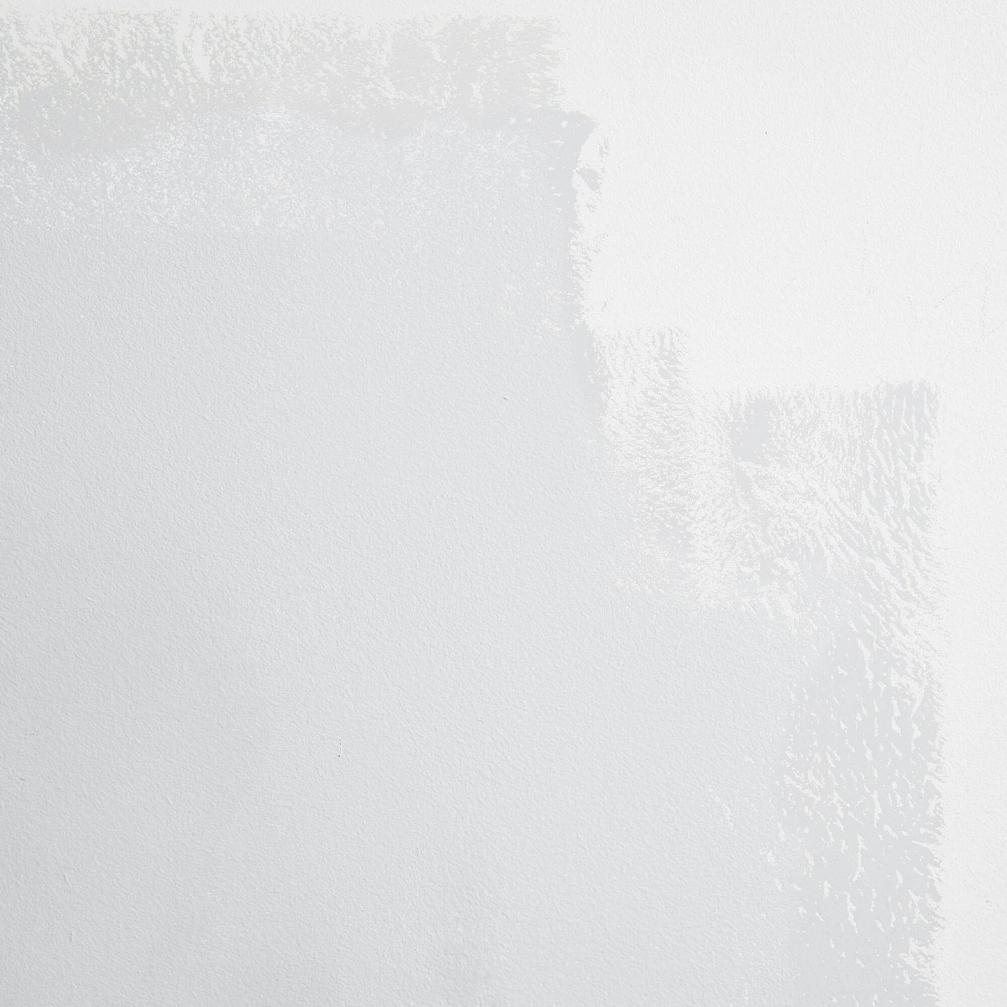 Backdrop Paint - West Coast Ghost