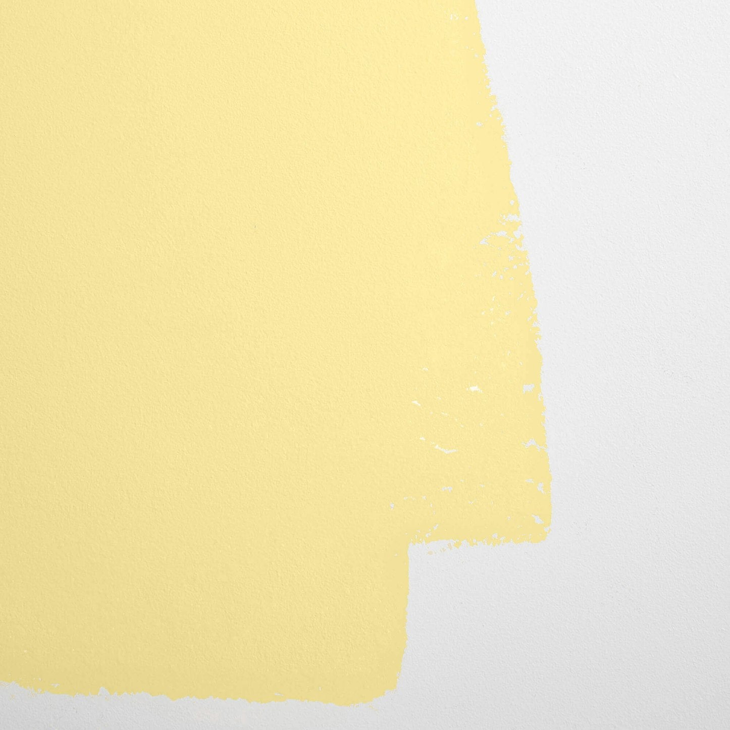 Backdrop Paint - Disco Nap