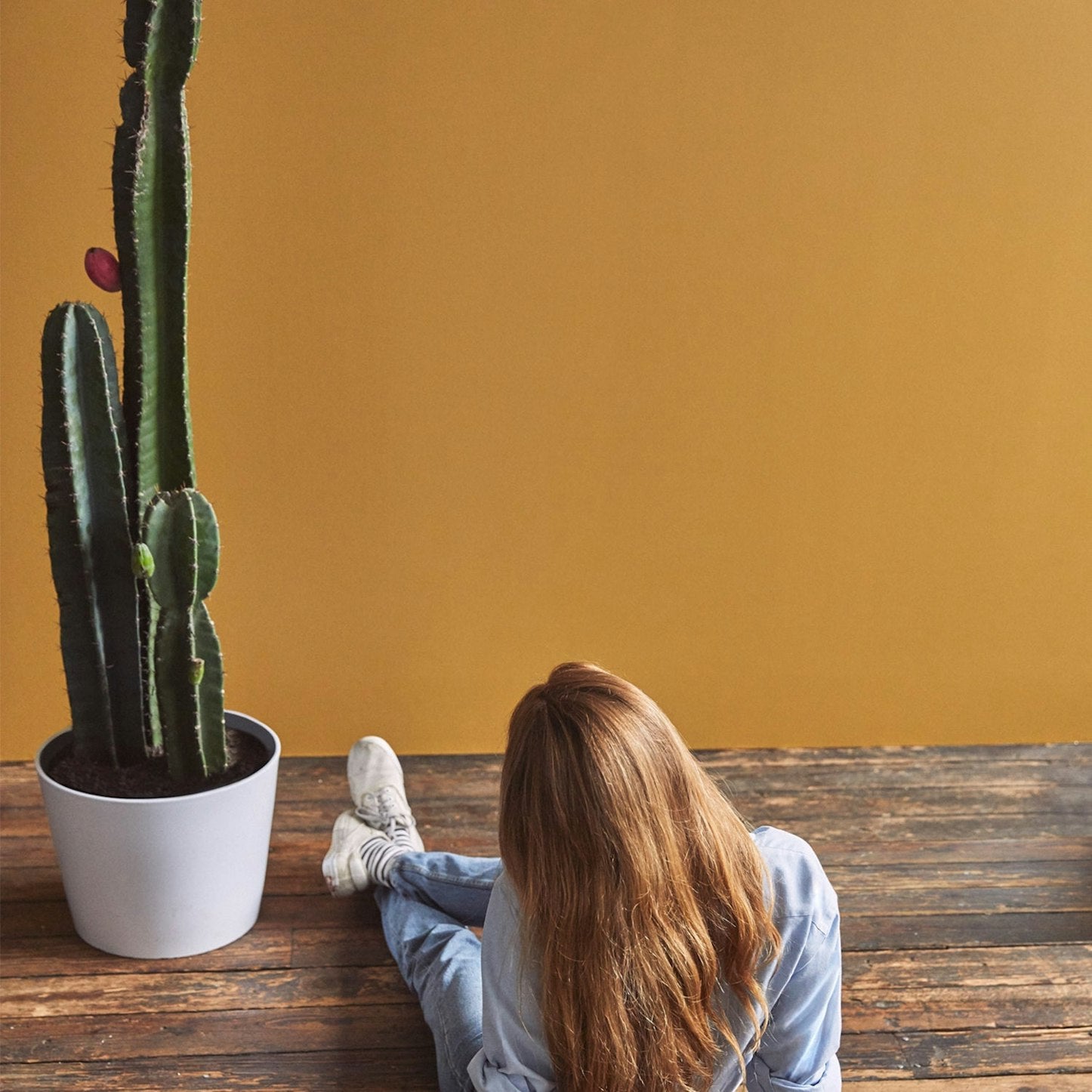 Backdrop Paint - Tanlines