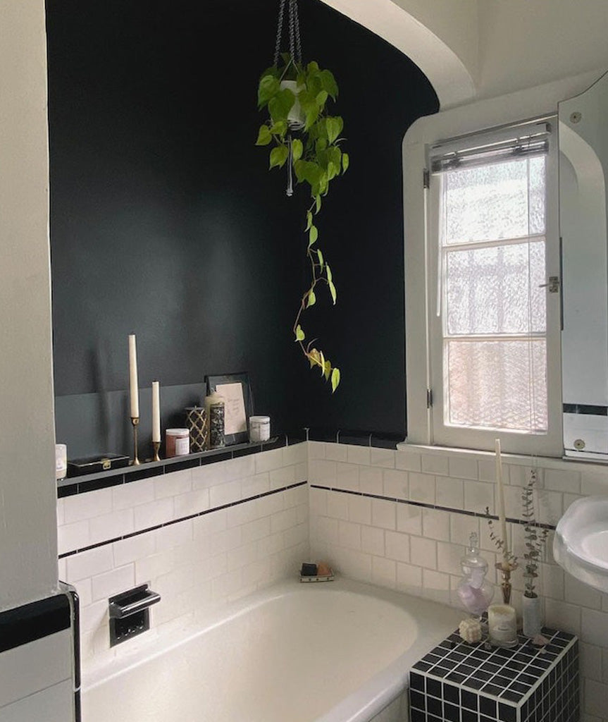 Backdrop Paint - After Hours