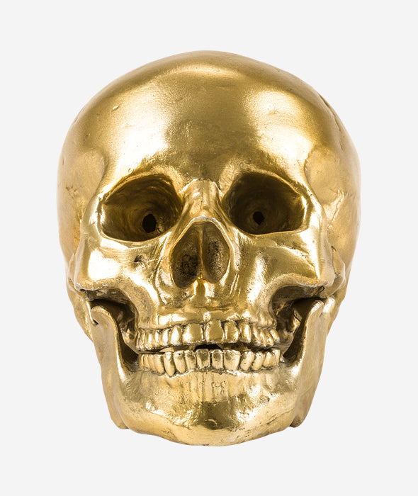 Culture Skulture Human Skull Seletti - BEAM // Design Store