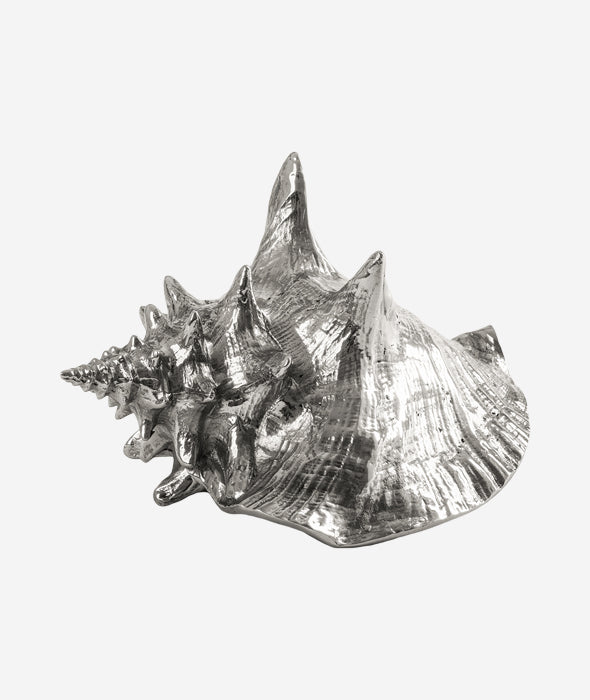 Wunderkammer Shell Seletti - BEAM // Design Store