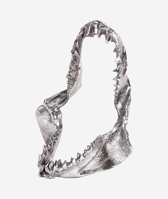 Wunderkammer Shark Jaw Seletti - BEAM // Design Store