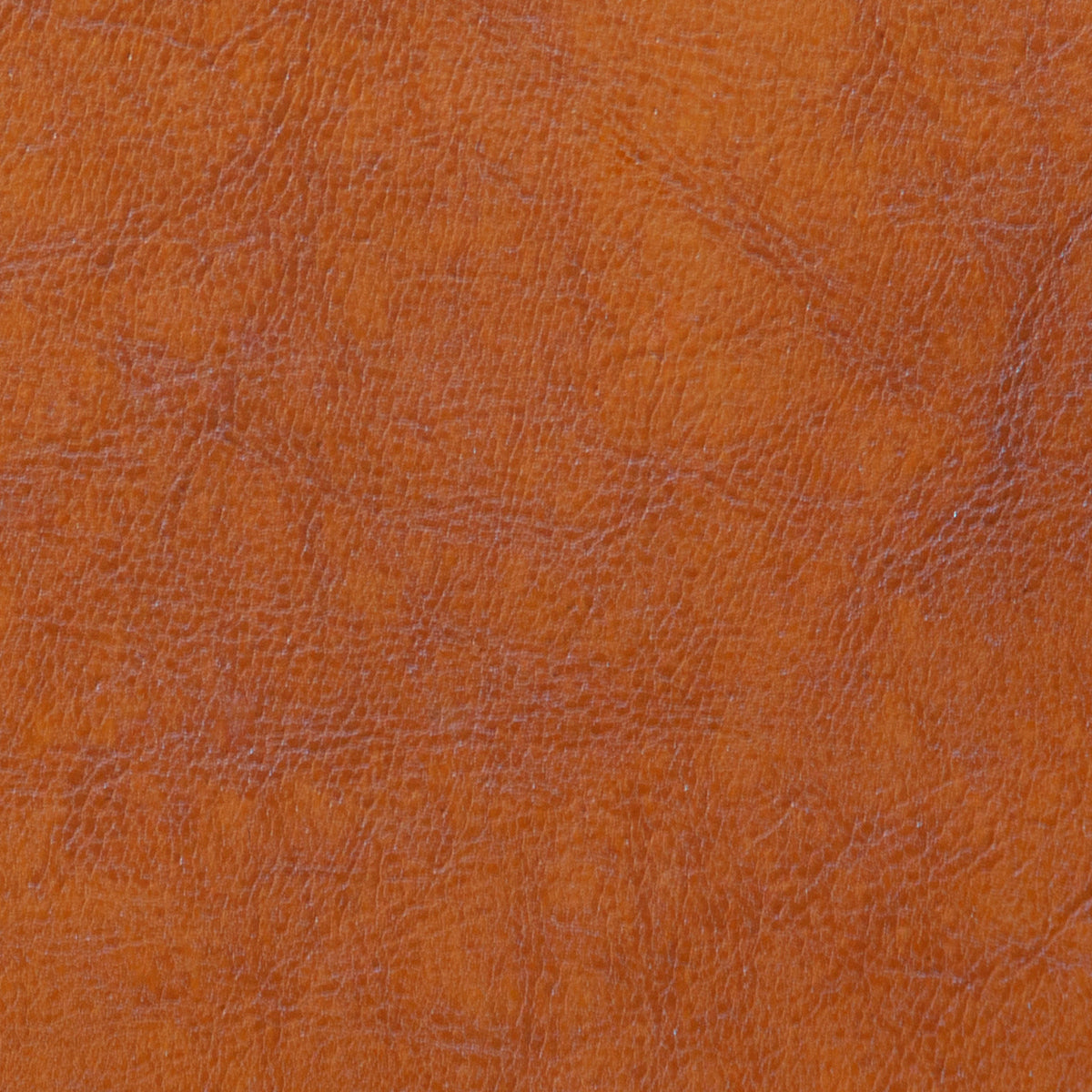 Mix Modular 4-PC Sectional Sofa - More Options - BEAM