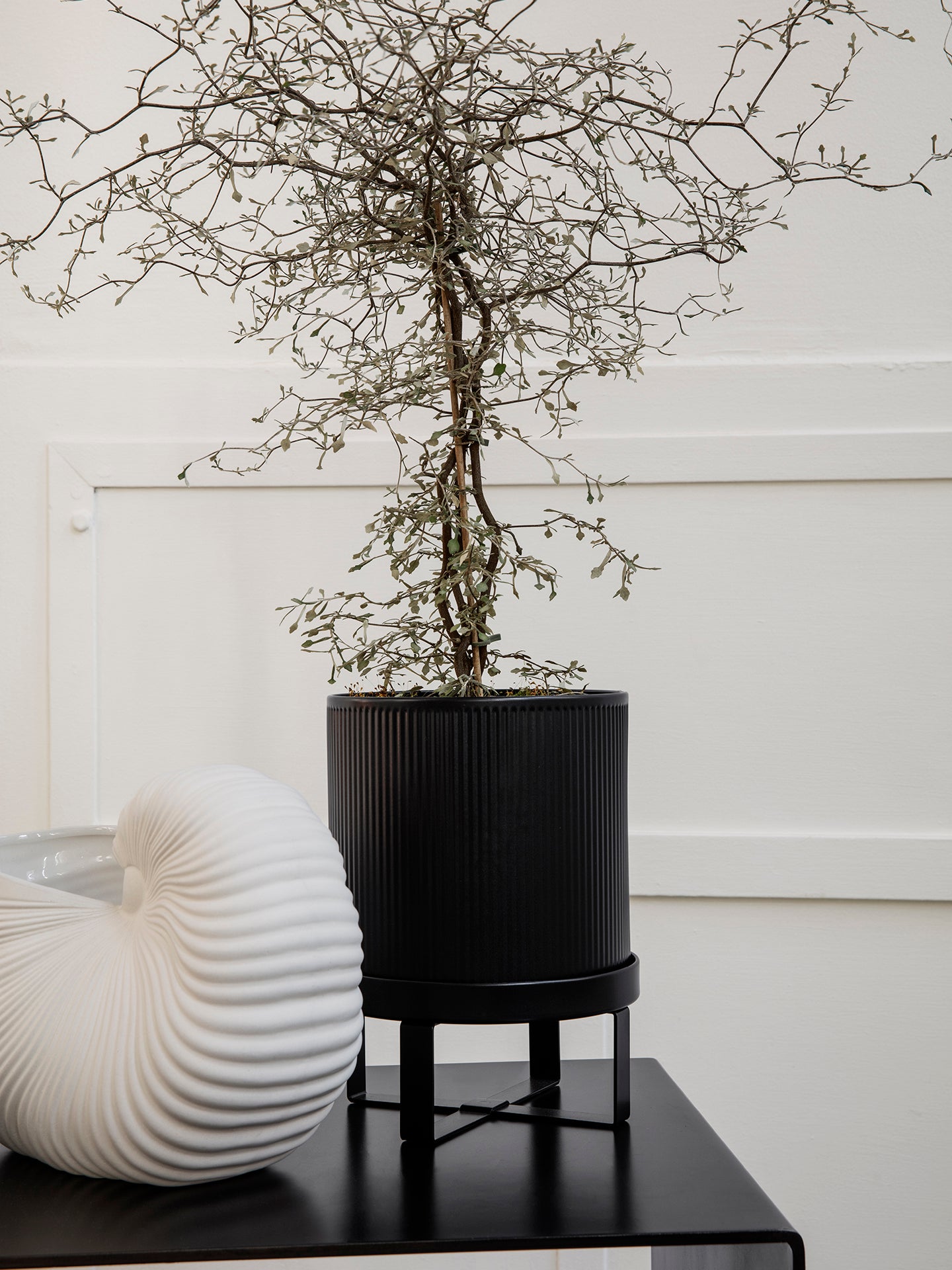 Bau Pot - More Options - BEAM