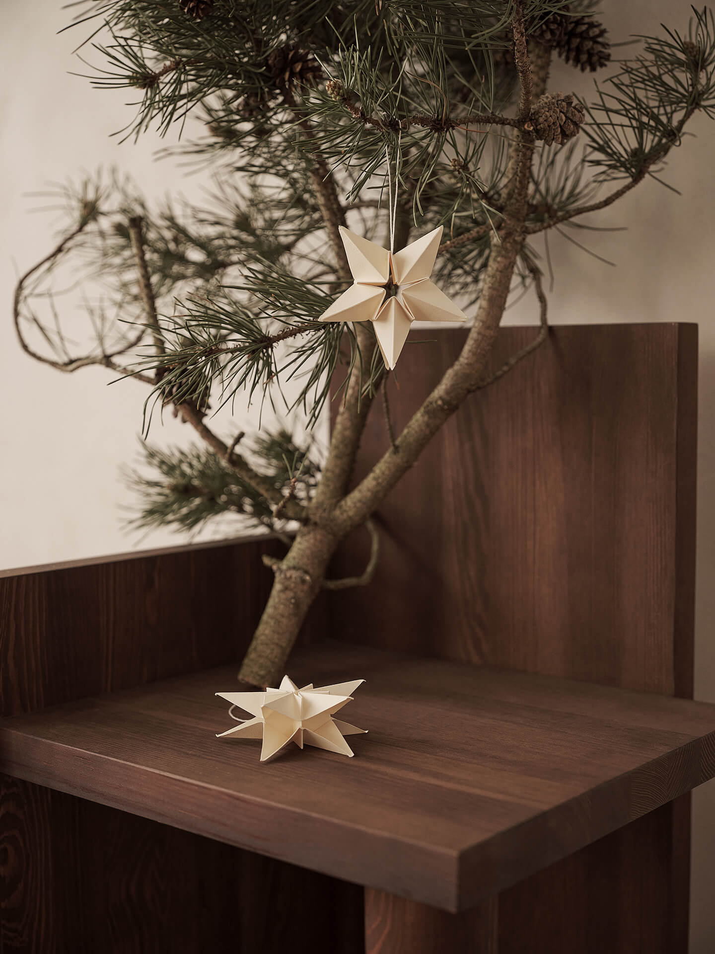 Amanda Paper Star Ornaments Set/3