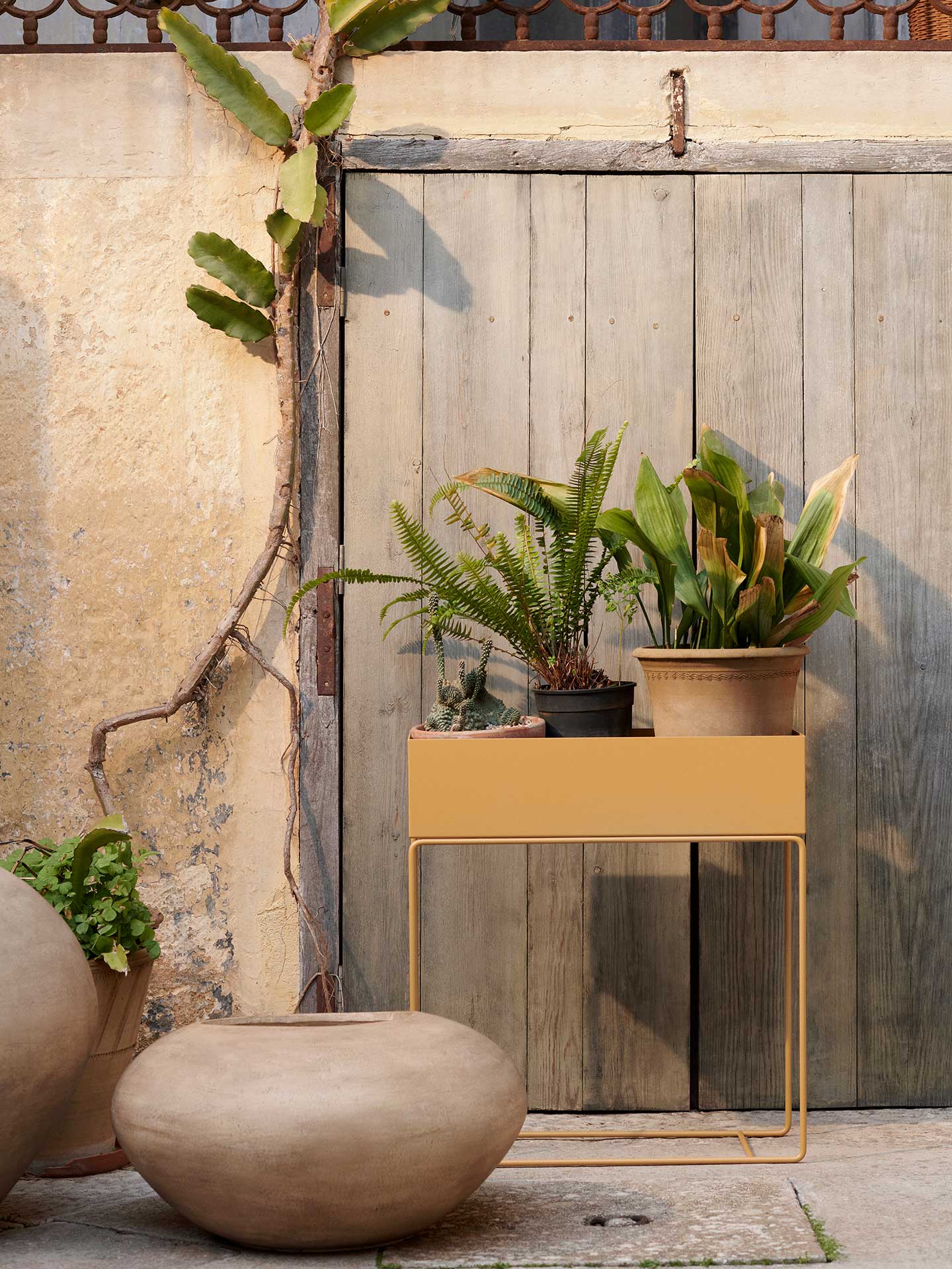 Plant Box - More Options