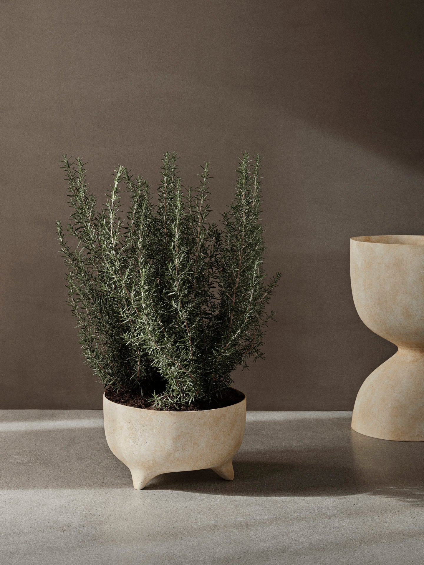 Evoke Bowl Pot