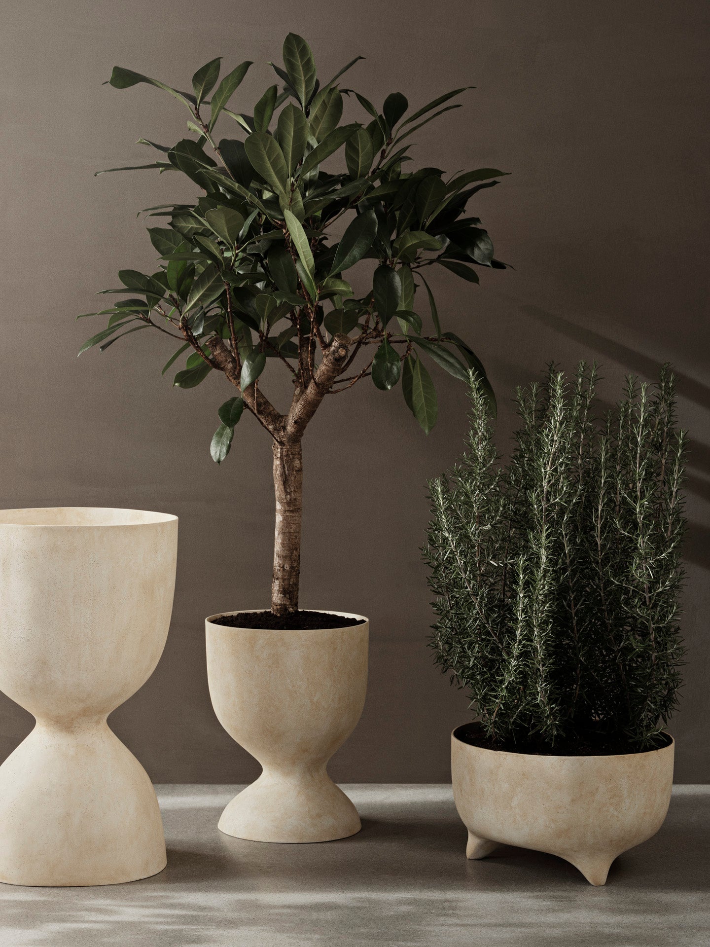 Evoke Bowl Pot