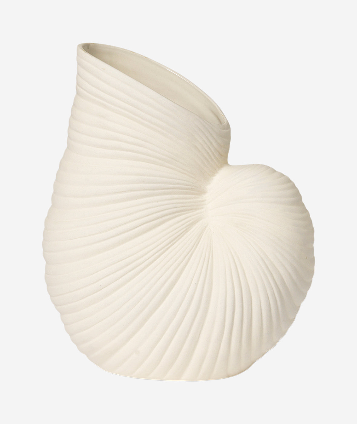 Shell Vase