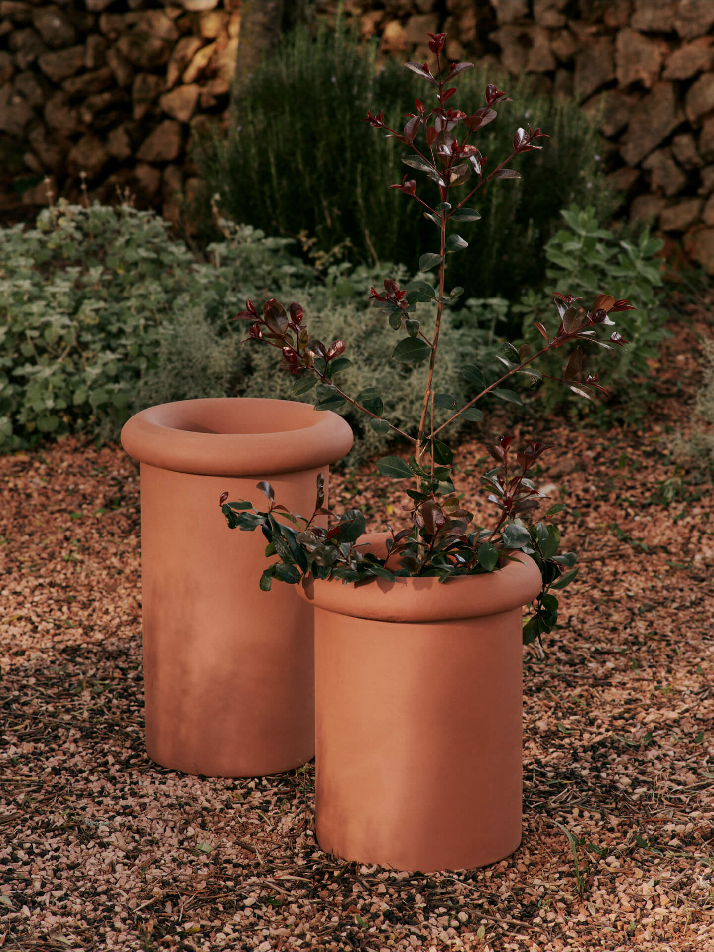 Rollo Pot - More Options