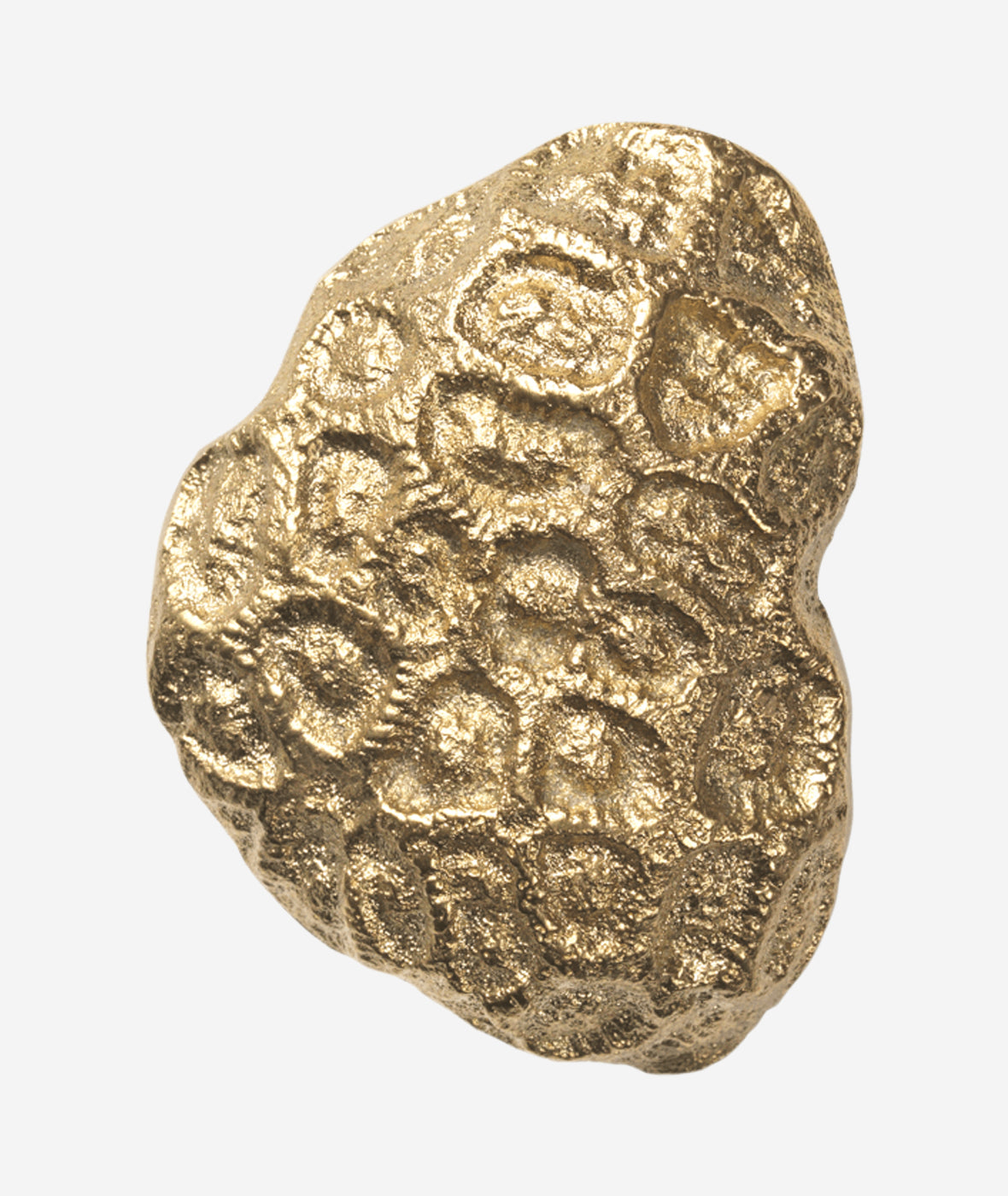Comber Coral Hook - More Options