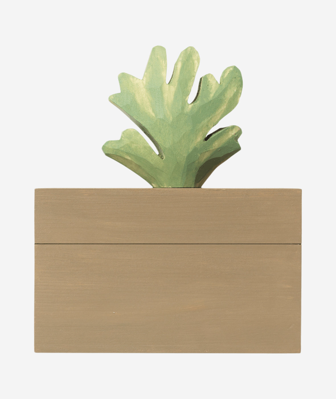 Harbour Coral Box
