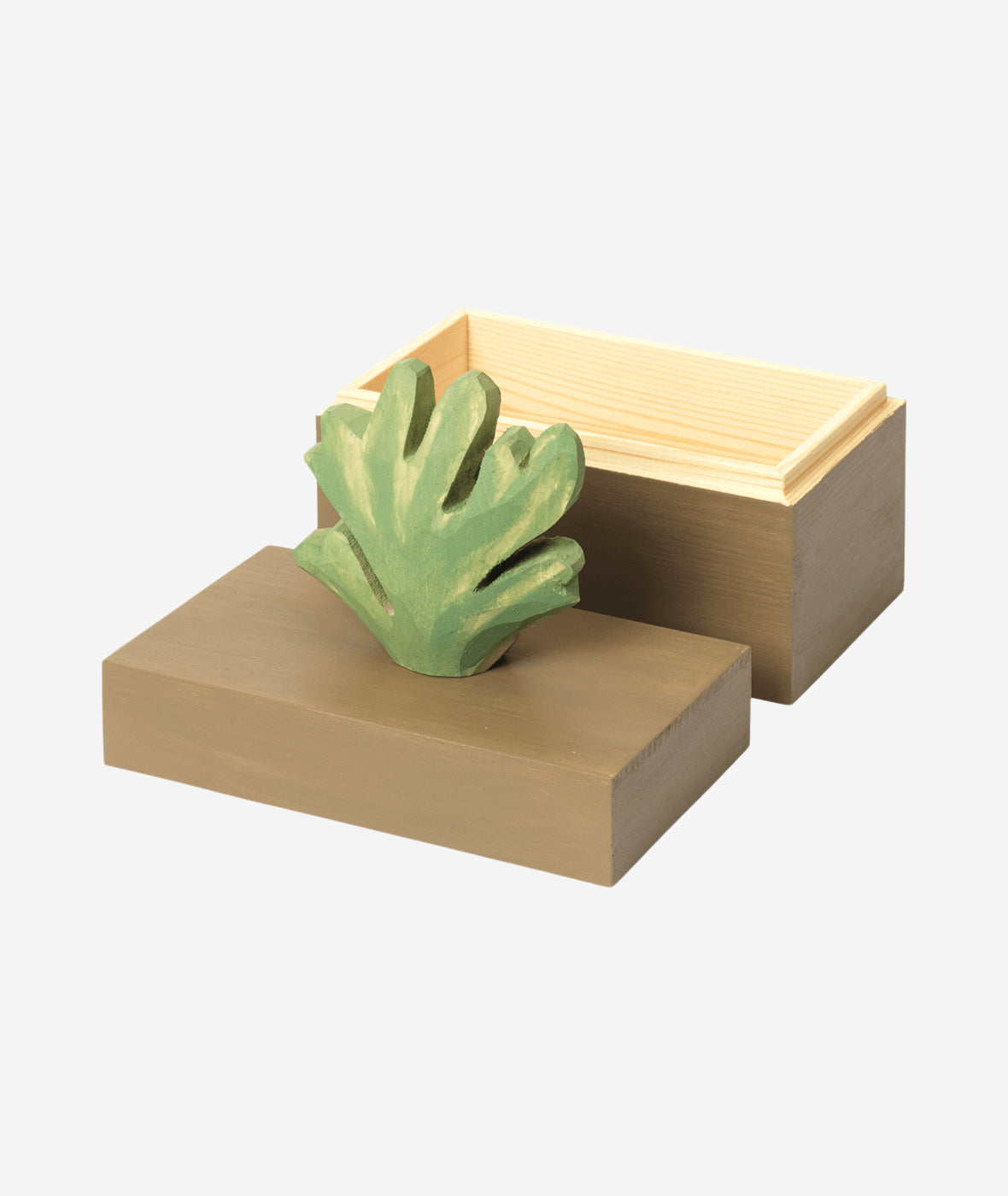 Harbour Coral Box