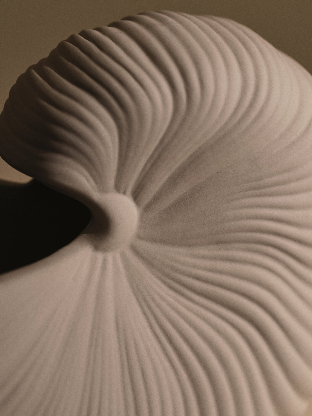 Shell Pot - More Options