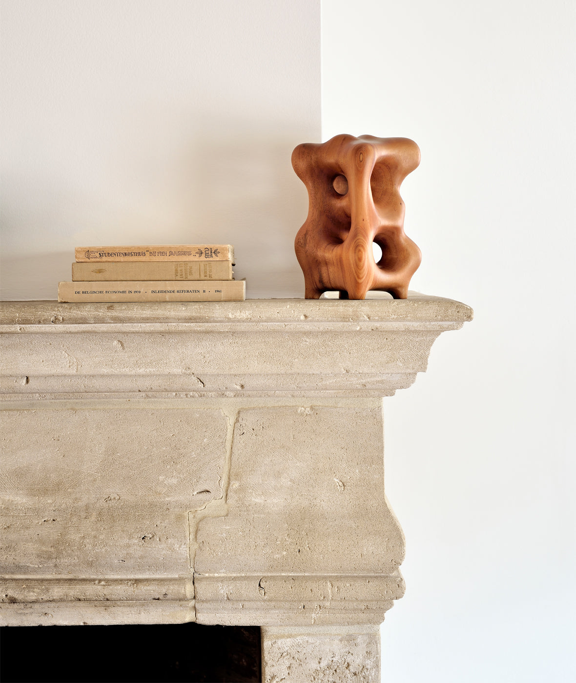 Organic Sculpture - More Options