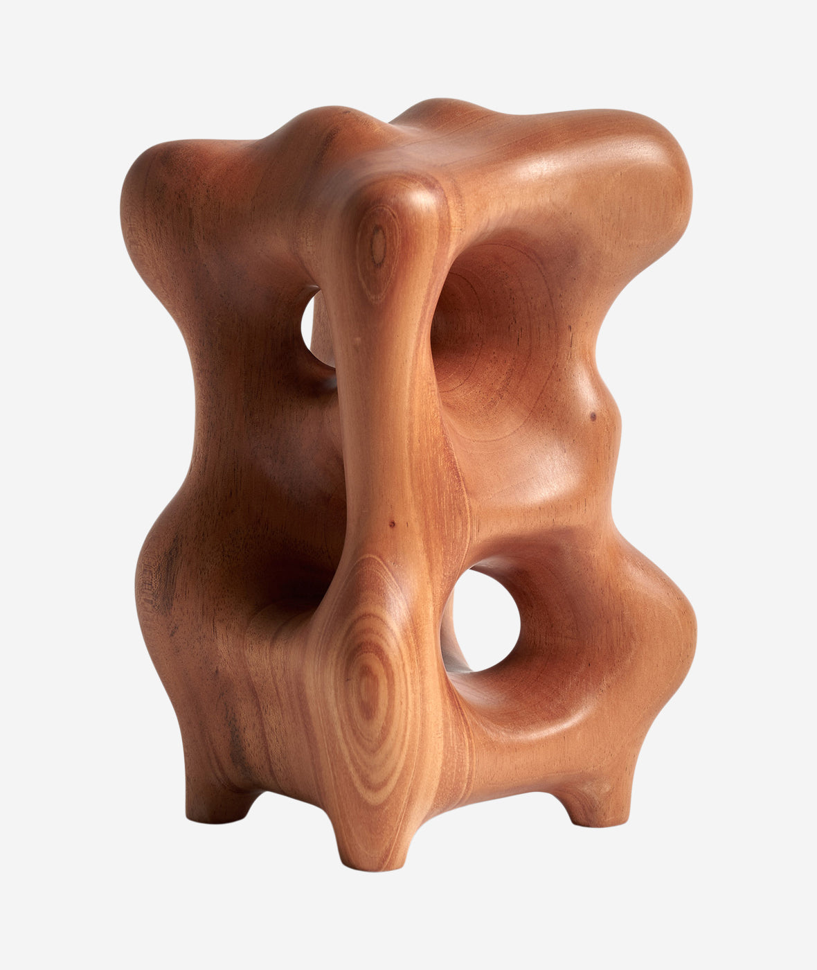 Organic Sculpture - More Options