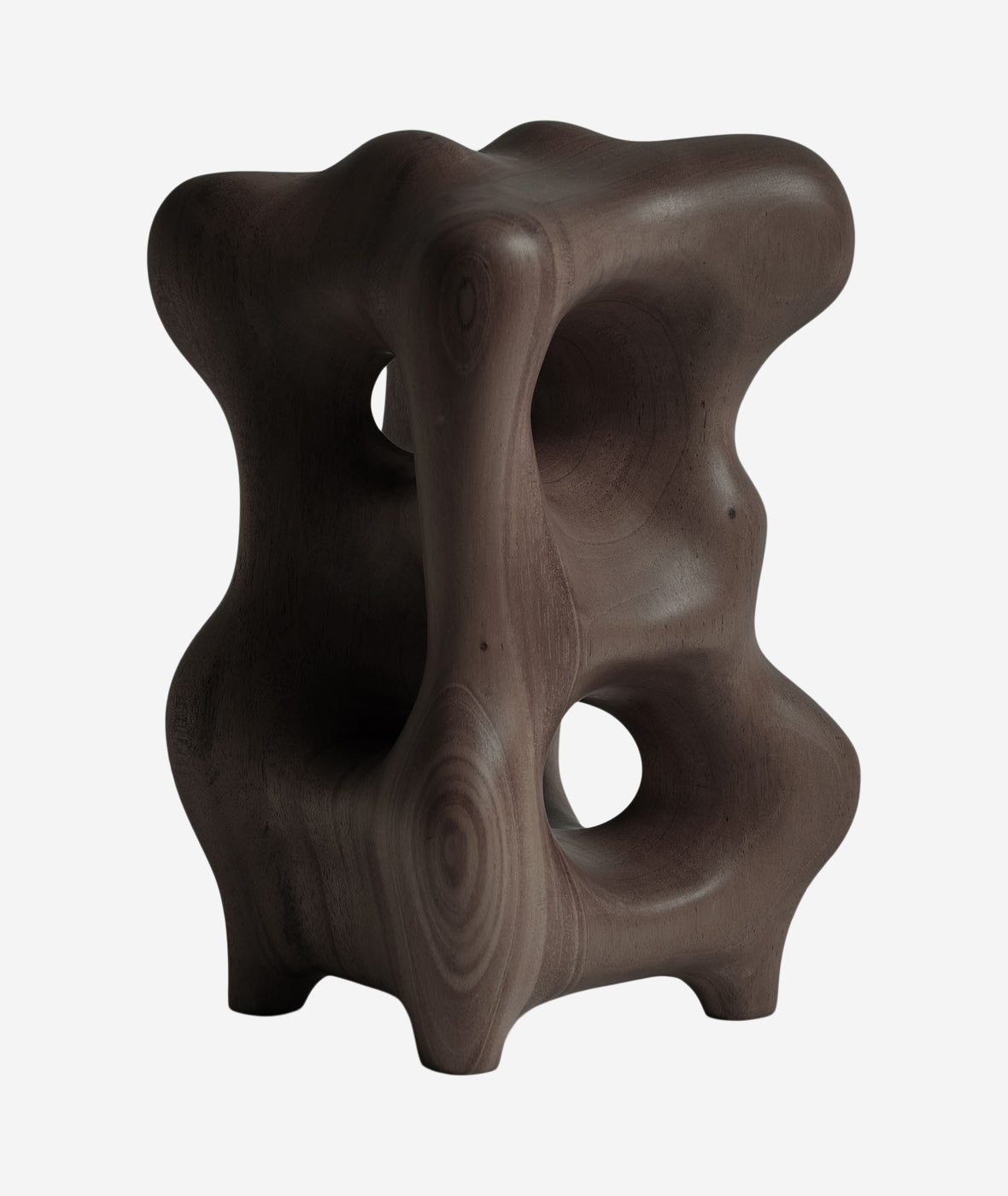 Organic Sculpture - More Options