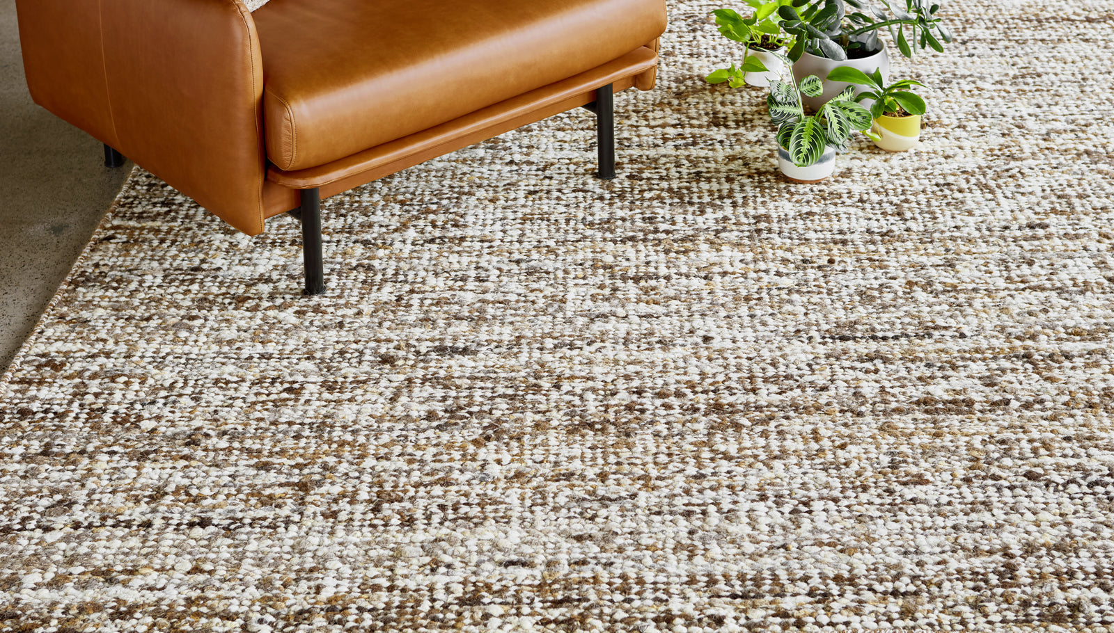 Dorset Rug - More Options