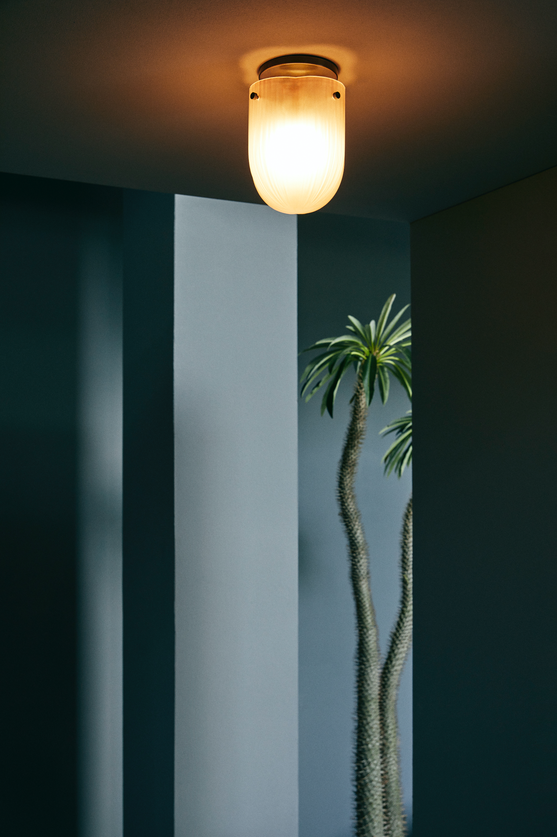 Seine Ceiling Lamp - More Options