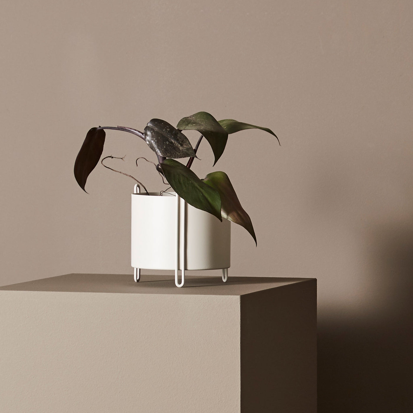 Pidestall Planter - More Options