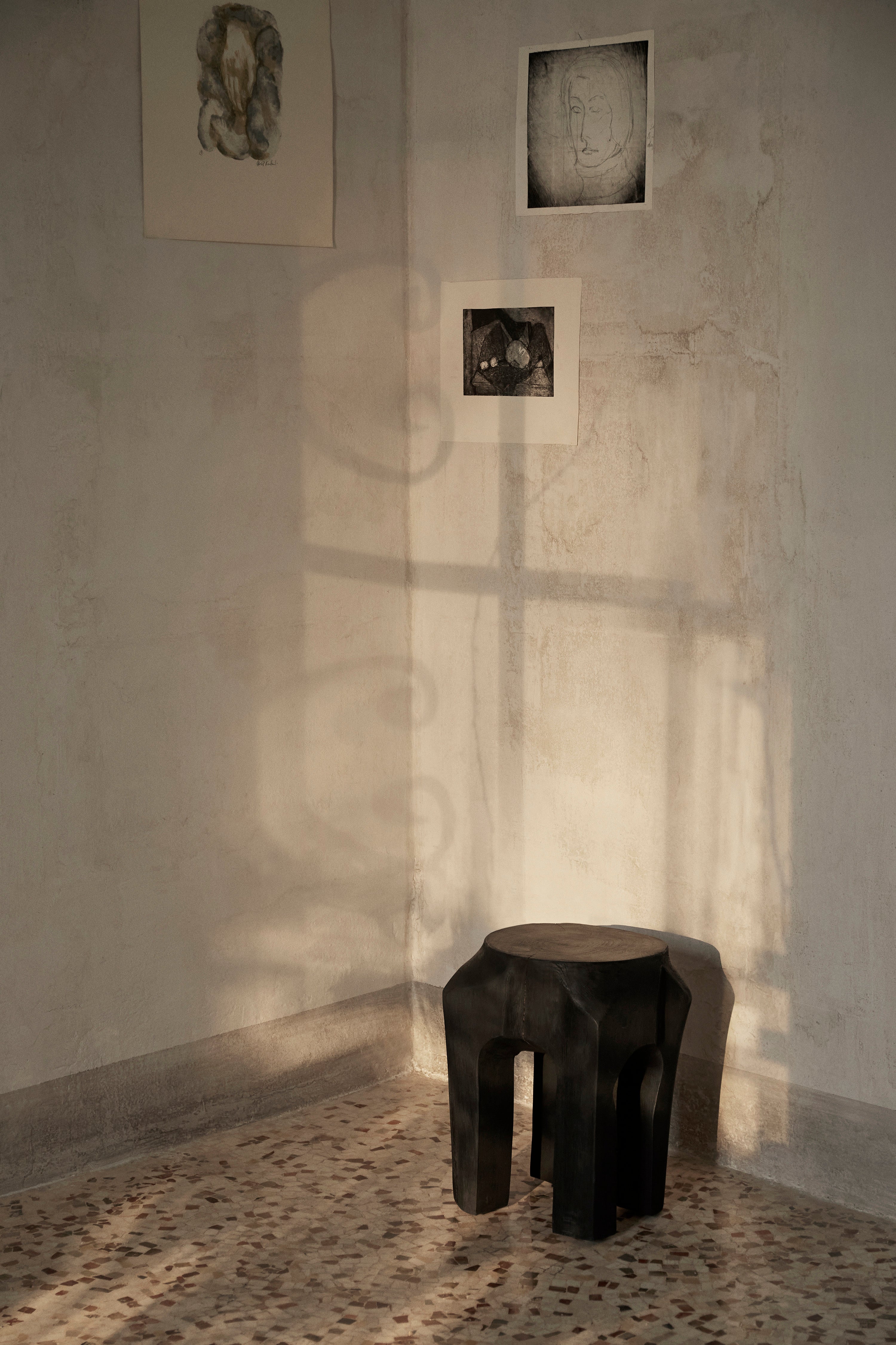 Root Stool