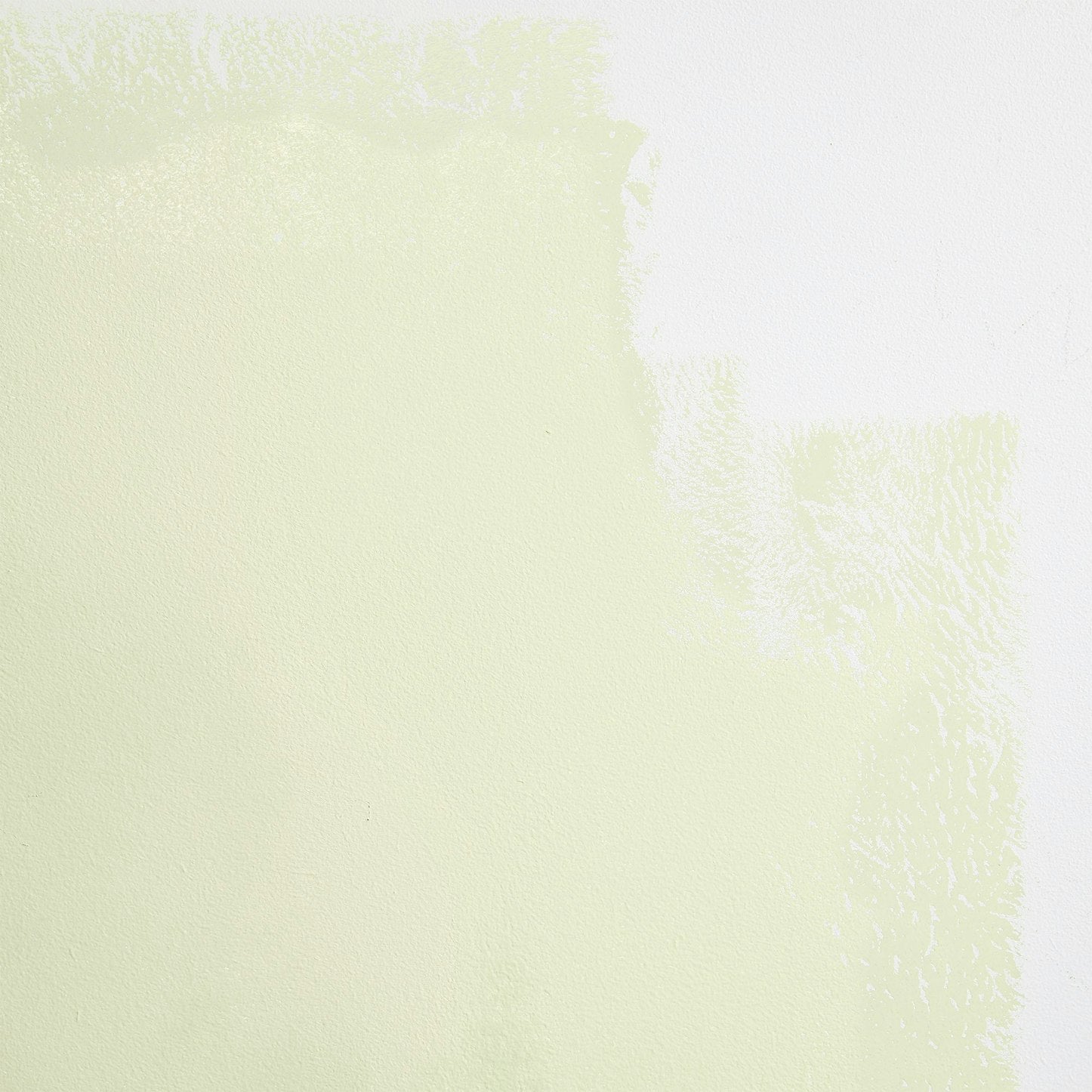 Backdrop Paint - Rococo