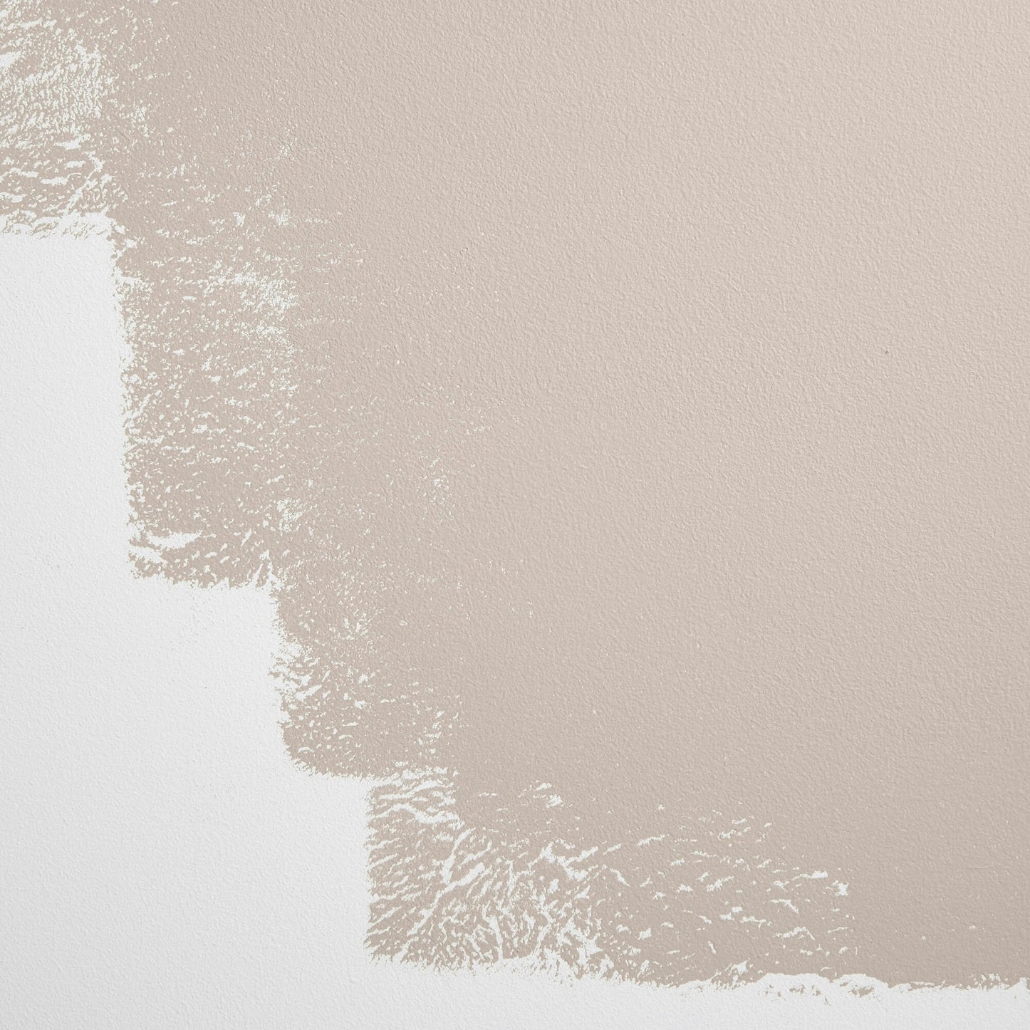 Backdrop Paint - Interior Motives