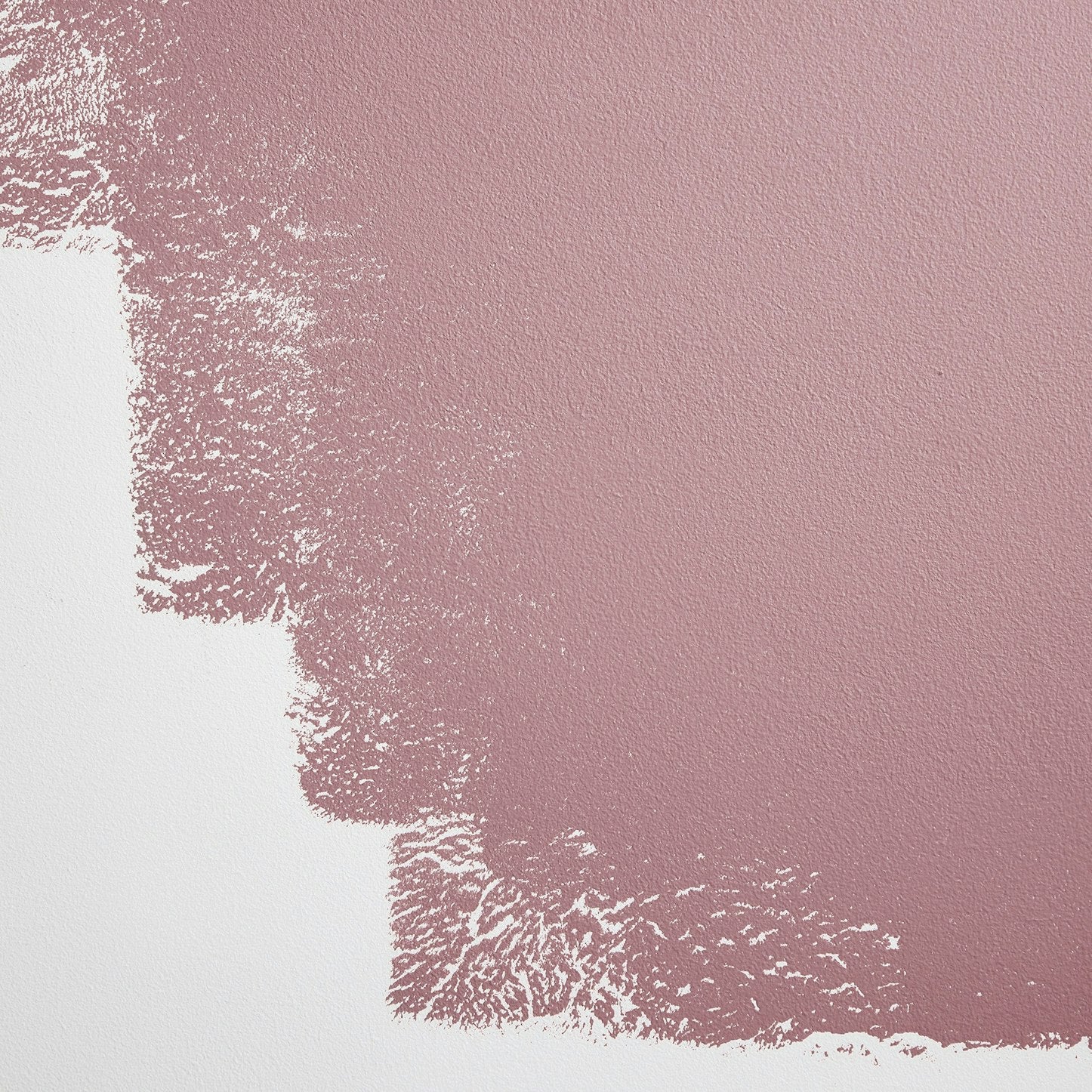 Backdrop Paint - Jawbreaker