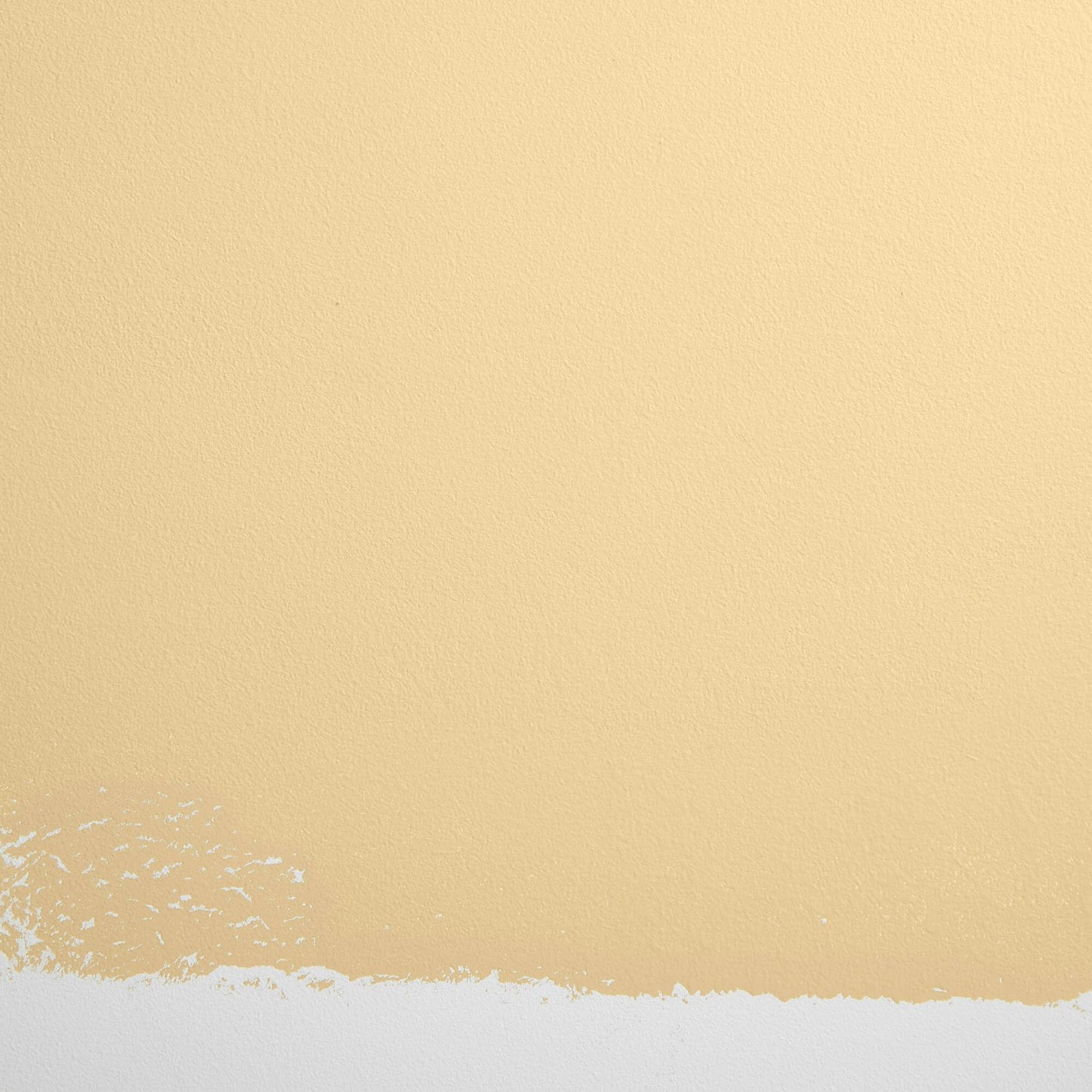 Backdrop Paint - Miami Parasol