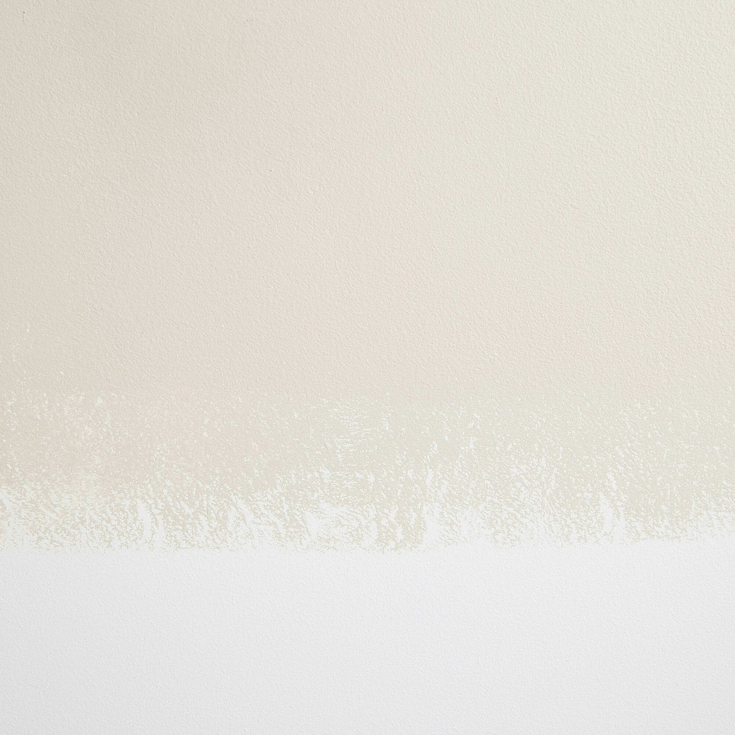 Backdrop Paint - Morning Ritual