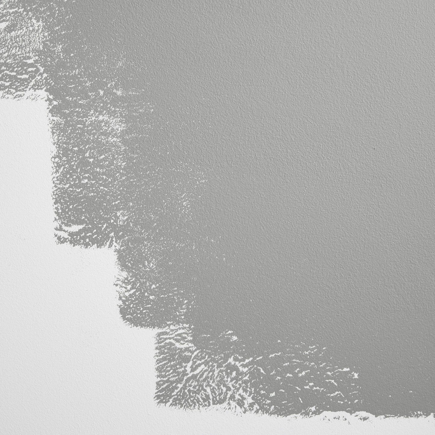 Backdrop Paint - Off The Record