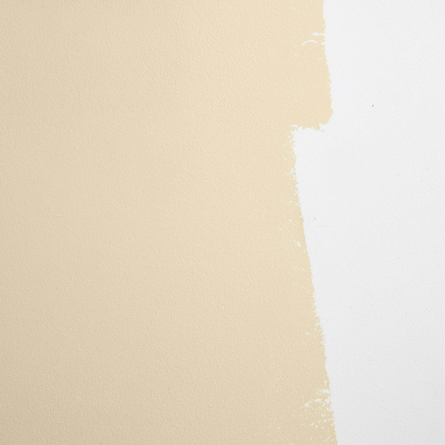 Backdrop Paint - Palo Santo