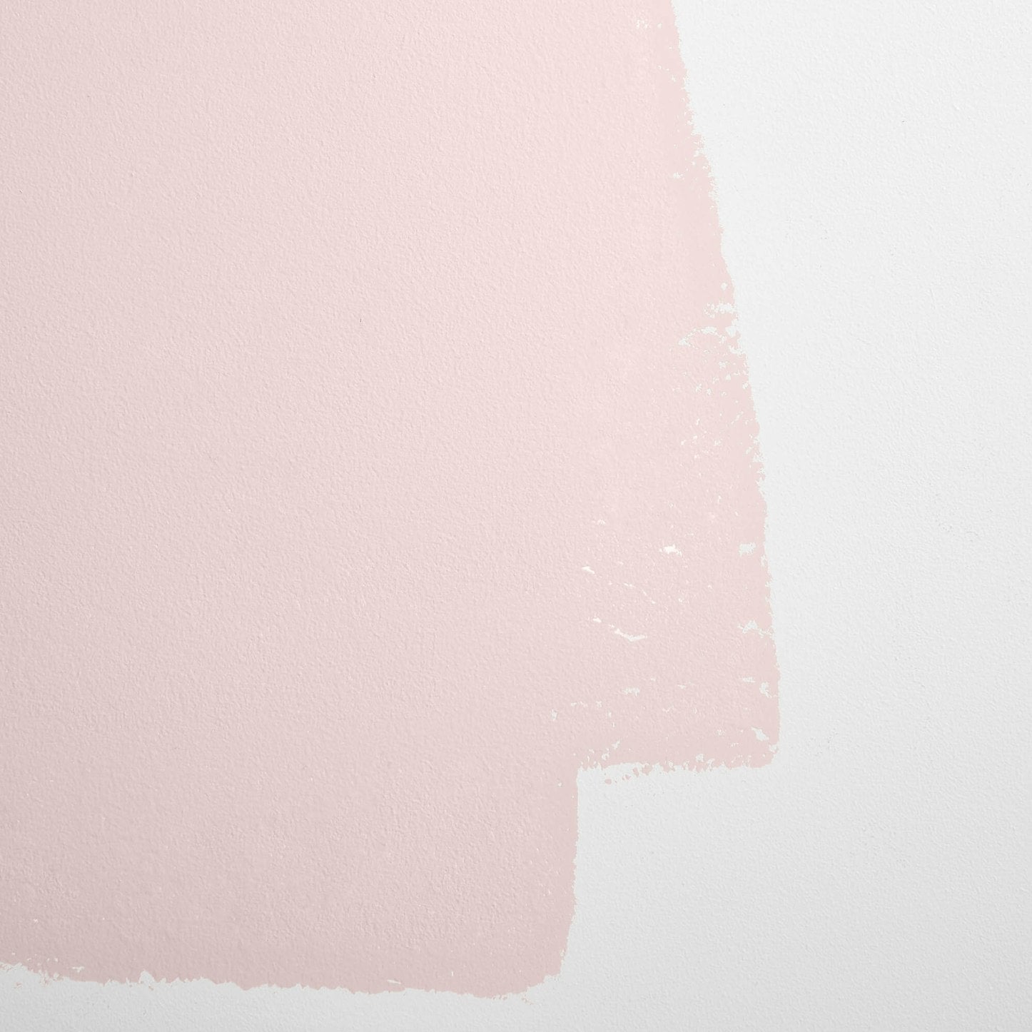 Backdrop Paint - Rose Quartz