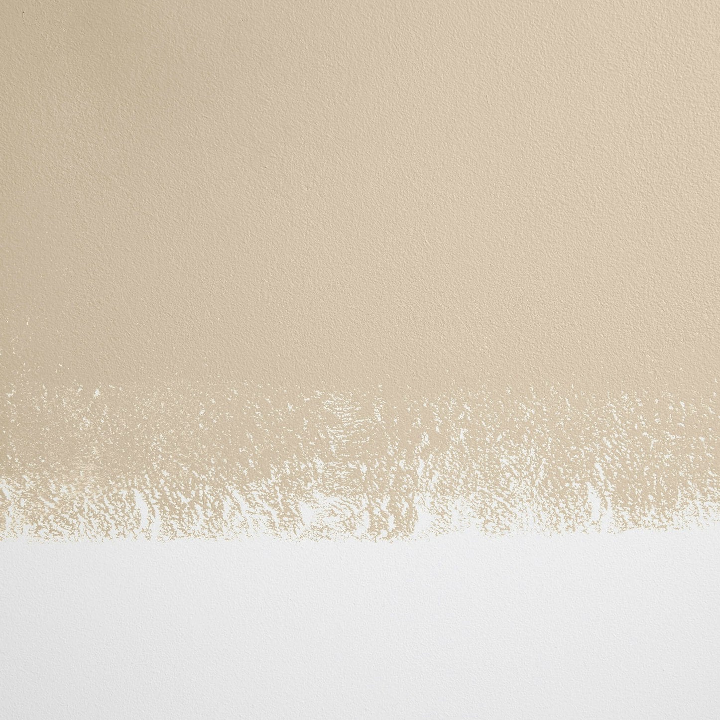 Backdrop Paint - Ryokan Guesthouse